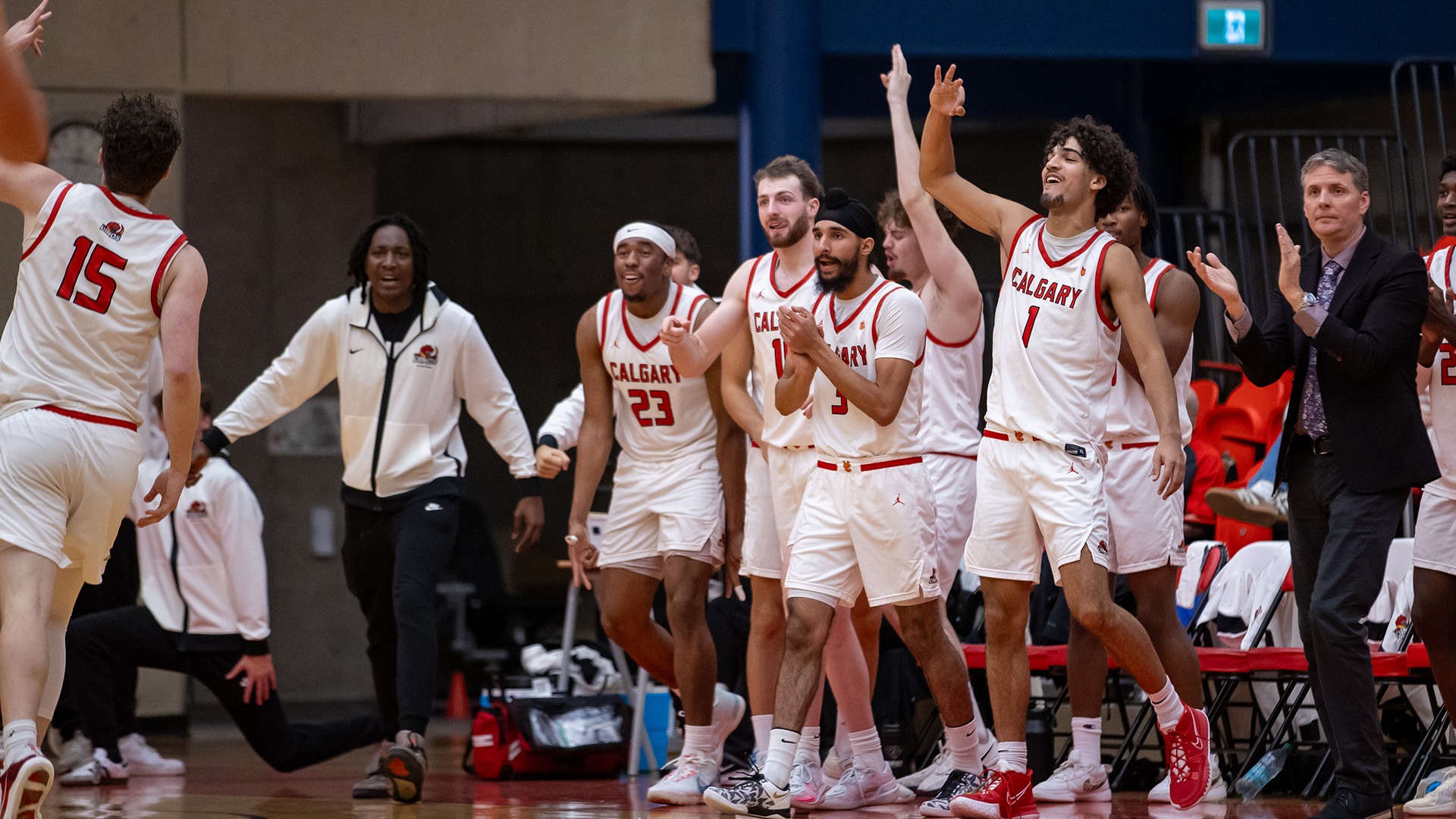 team, three, bench, celebration
