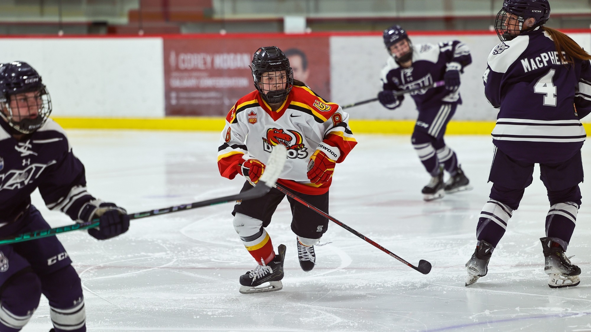 Evelyn Lawrence during the Dinos vs Cougars game on November, 28, 2025