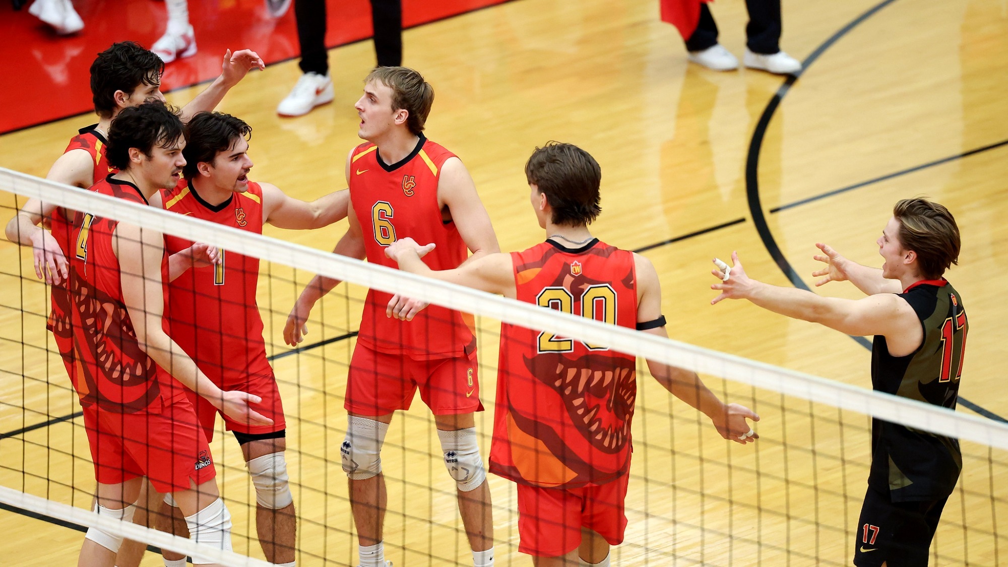 Dinos Men's Volleyball celebration