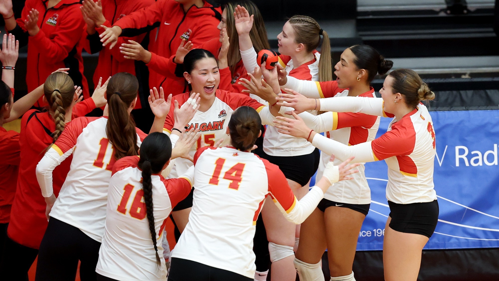 Kalyssa Komori, team, start