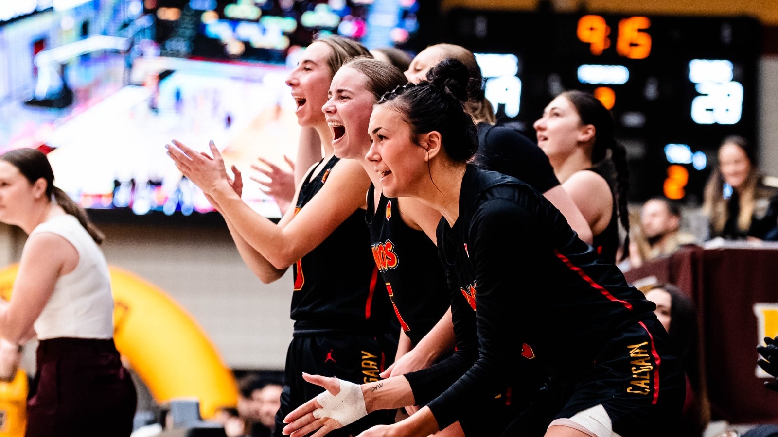Women's Basketball Bench