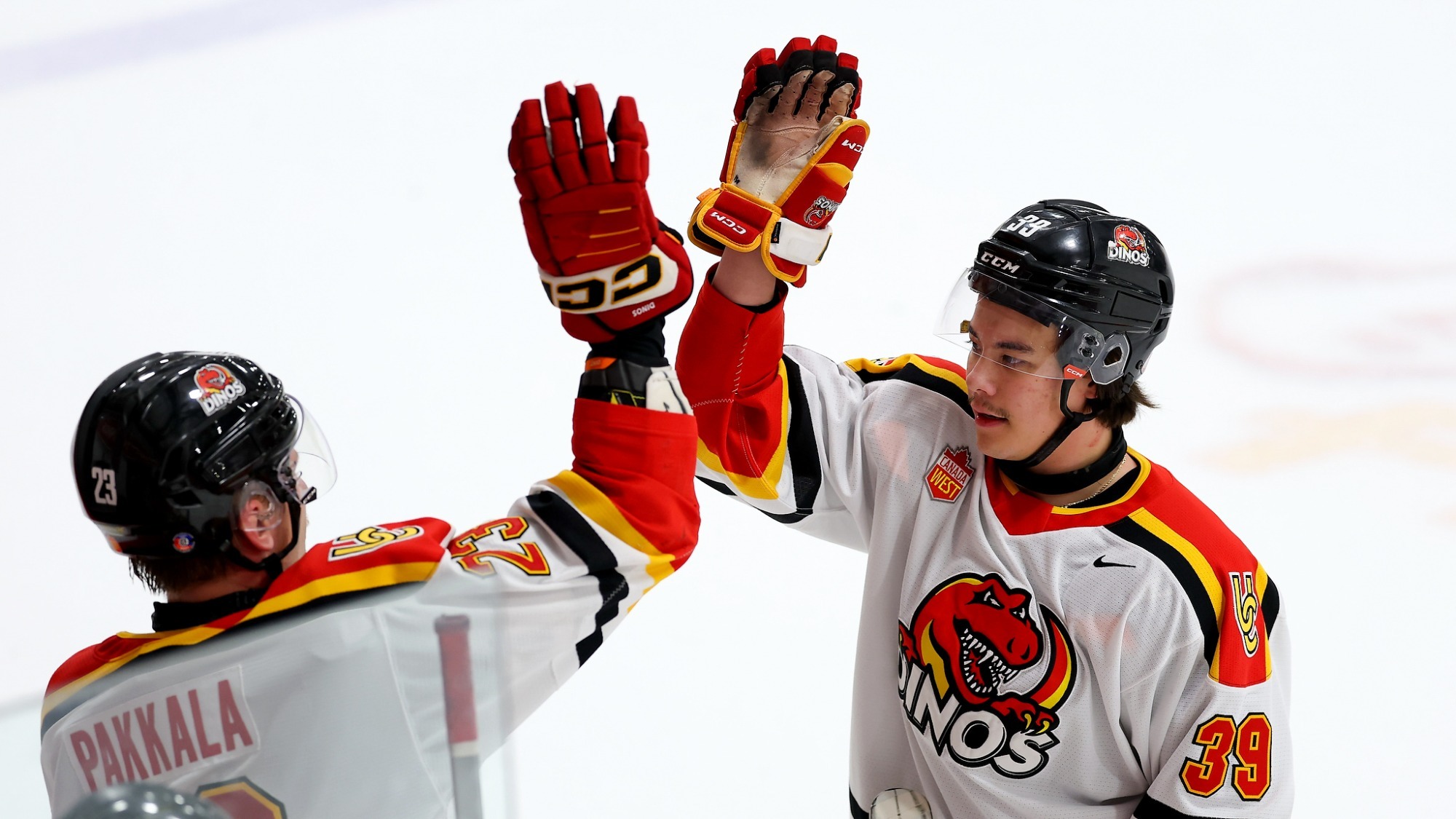 Brendan Lee, Pakkala, team, win, high five, celebration