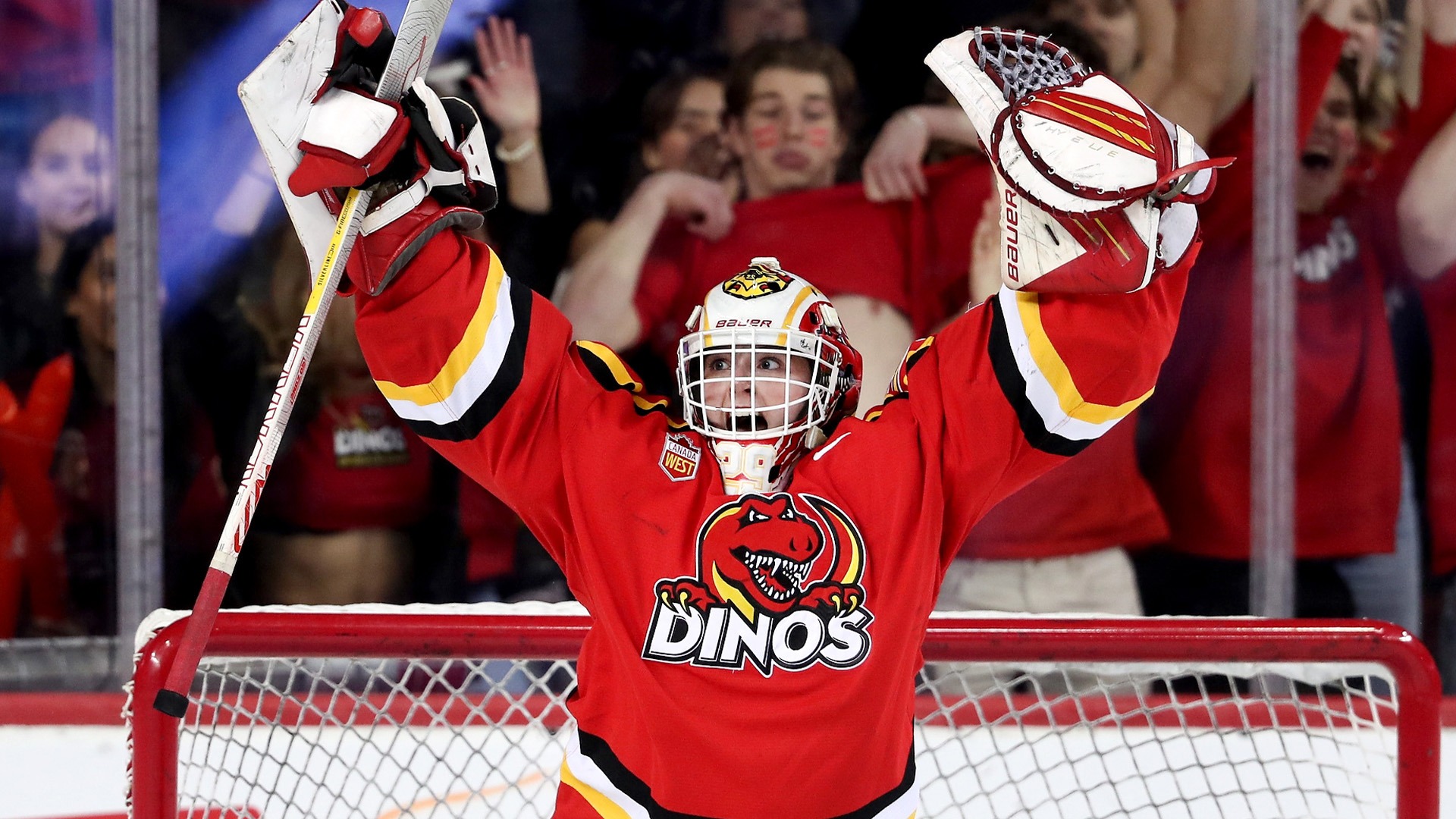 Amelia Awad, win, celebration