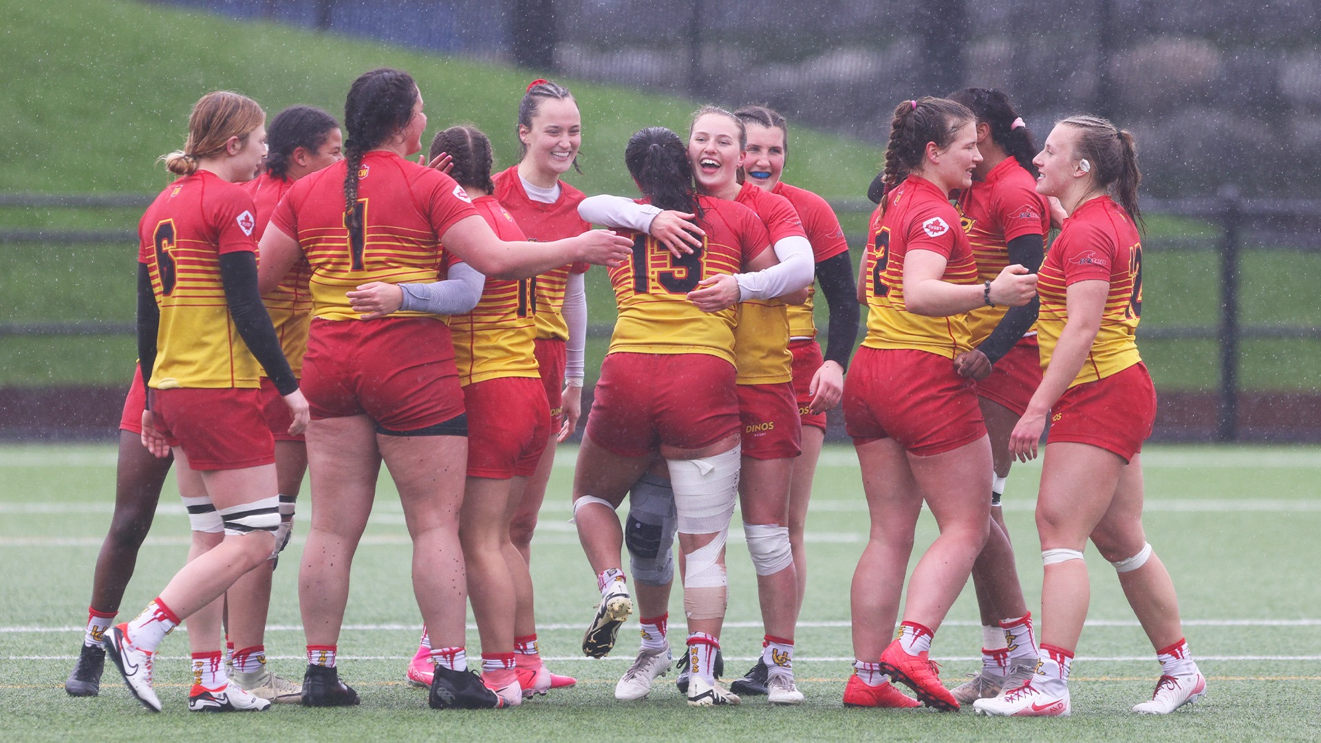 team, celebration, win