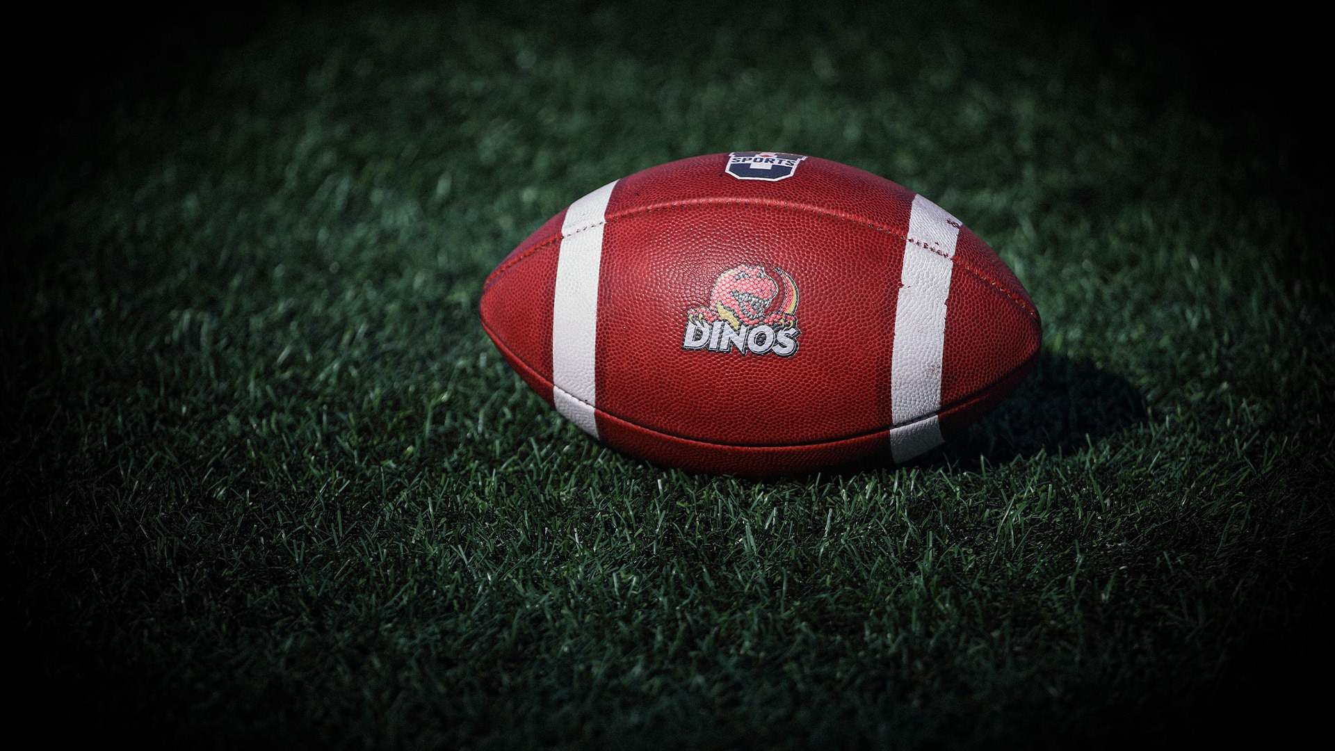 team, ball, logo