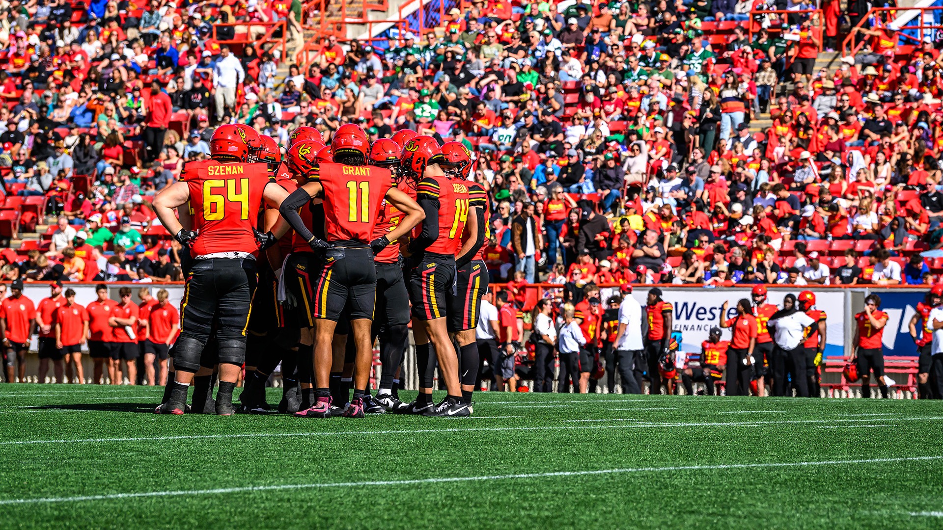 team, huddle, crowd