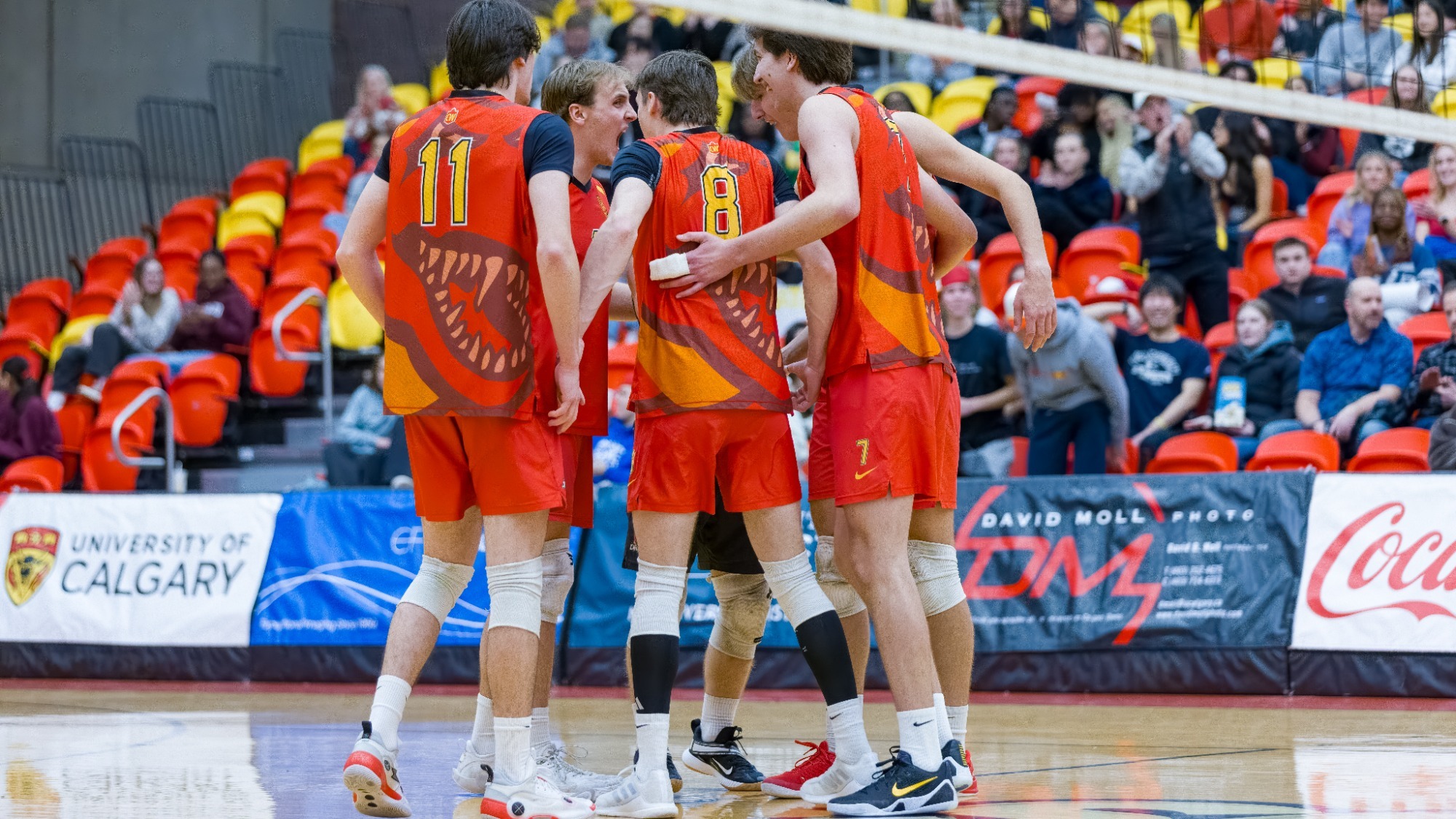 Dinos men's volleyball celebration