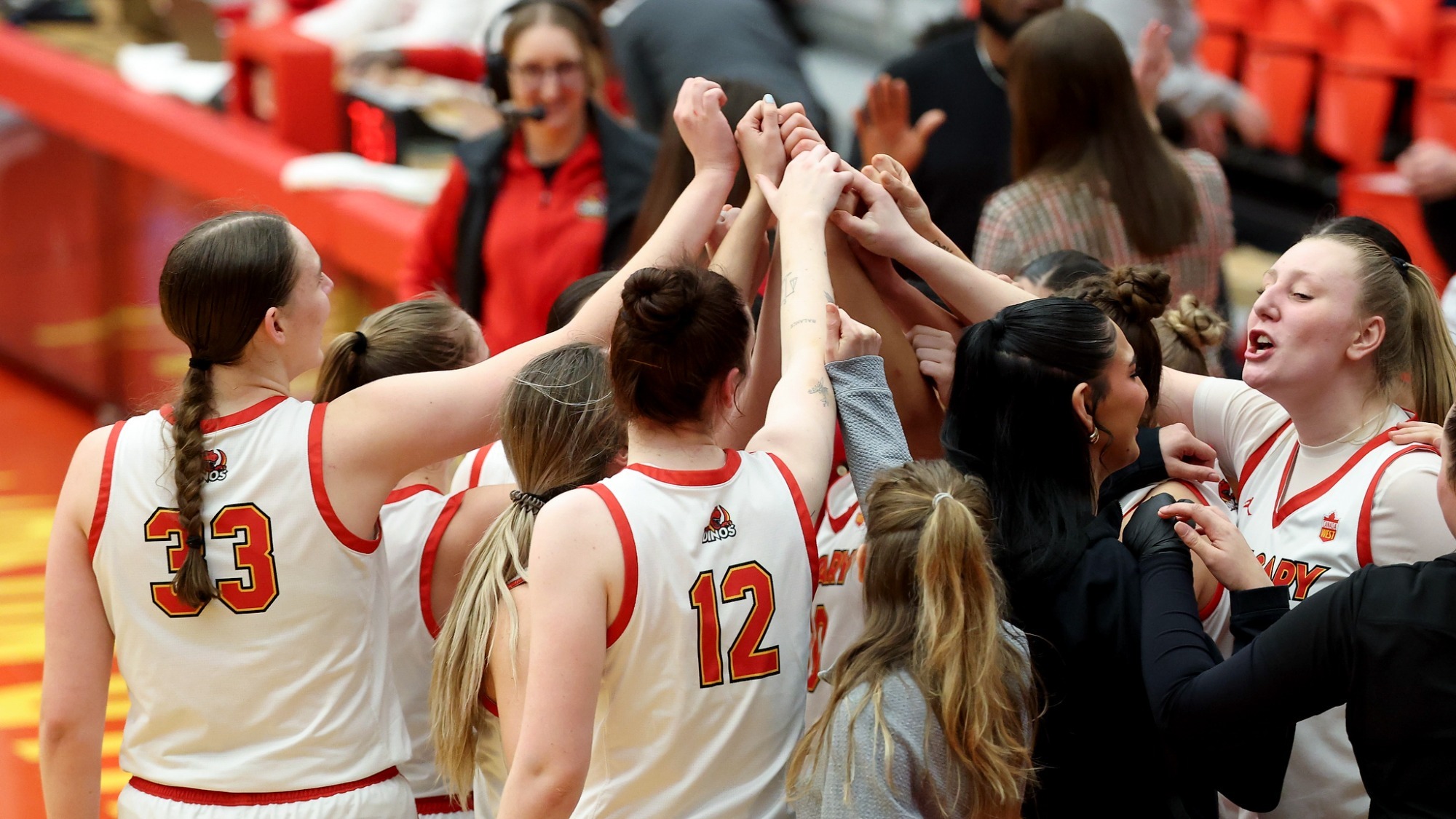 team, win, huddle, celebration