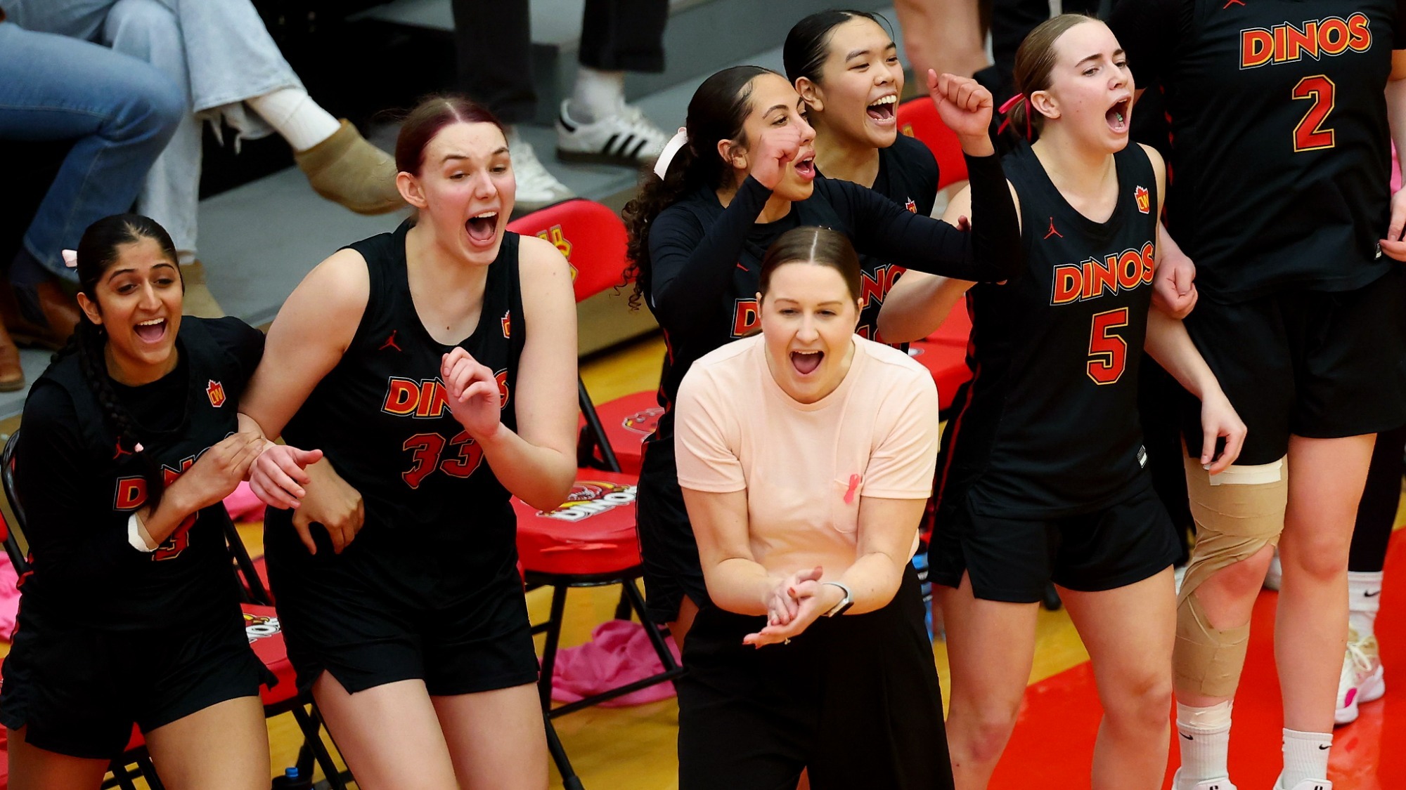 team, win, celebration, Sarah Besselink, bench