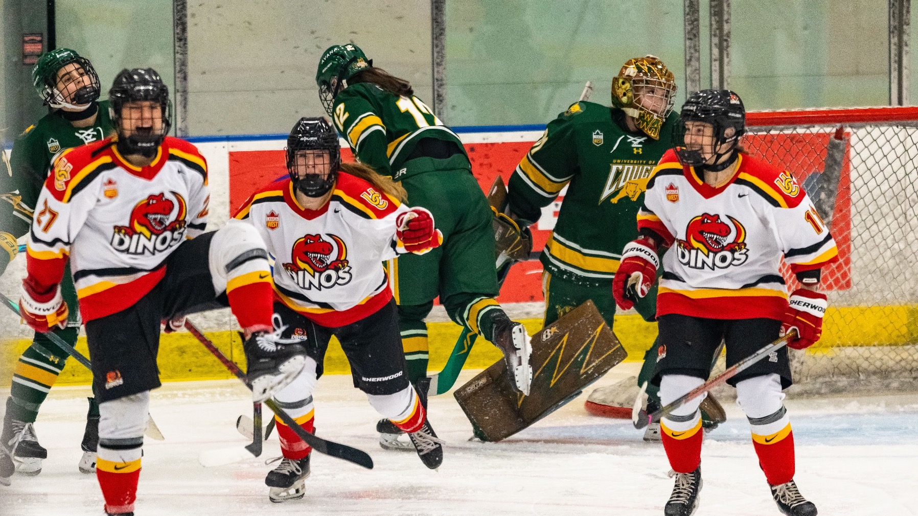 Women's Hockey v Reg