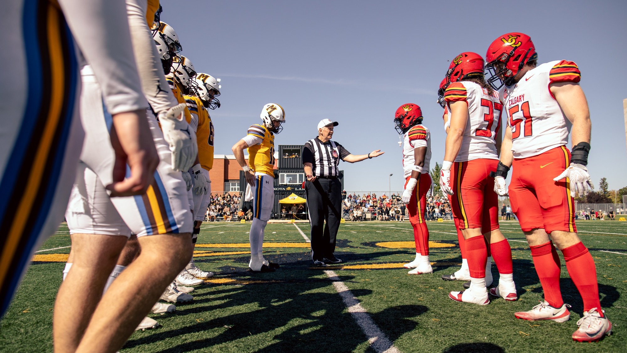 FB - Dinos v Bisons