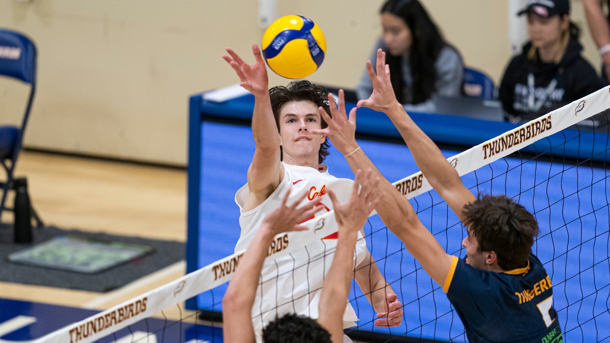 MVB v UBC