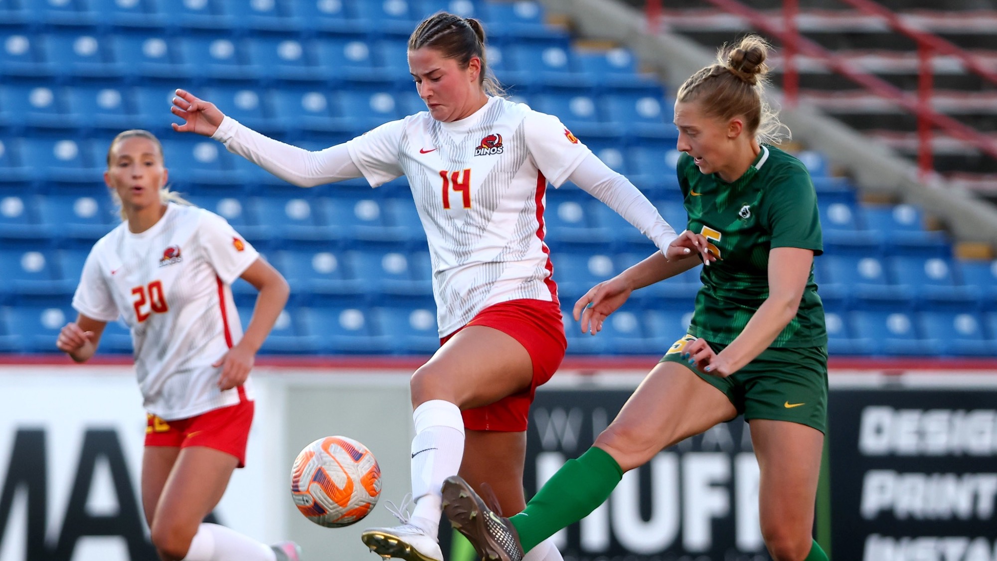 WSOC v ALB