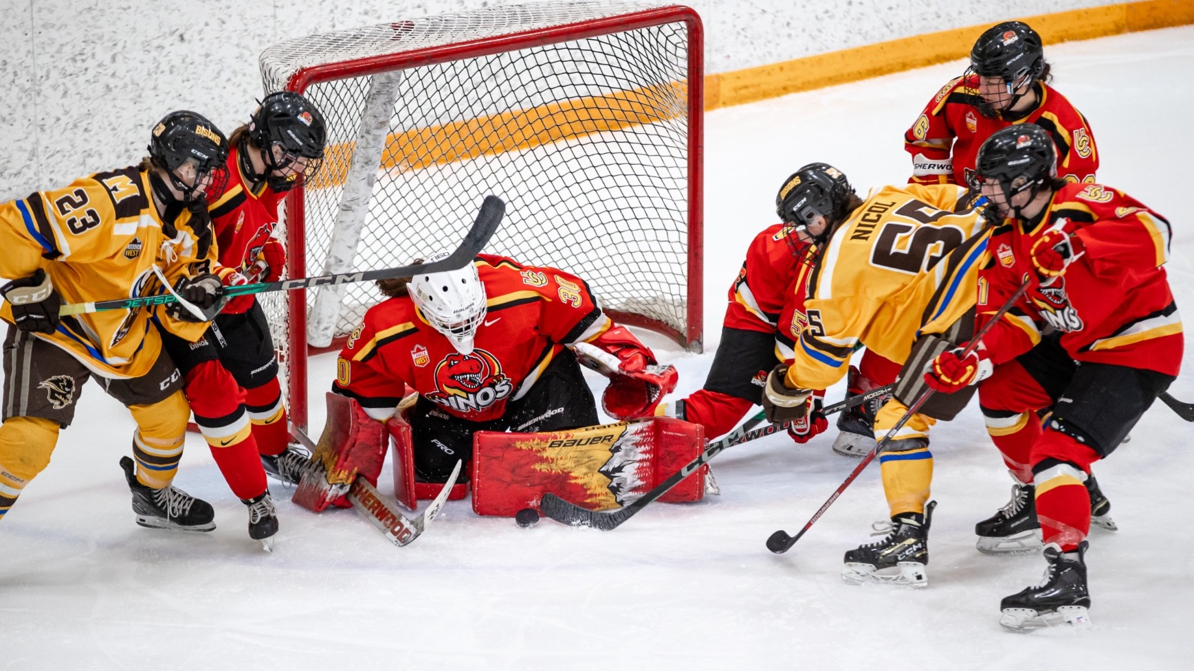 Dinos women's hockey vs. Manitoba