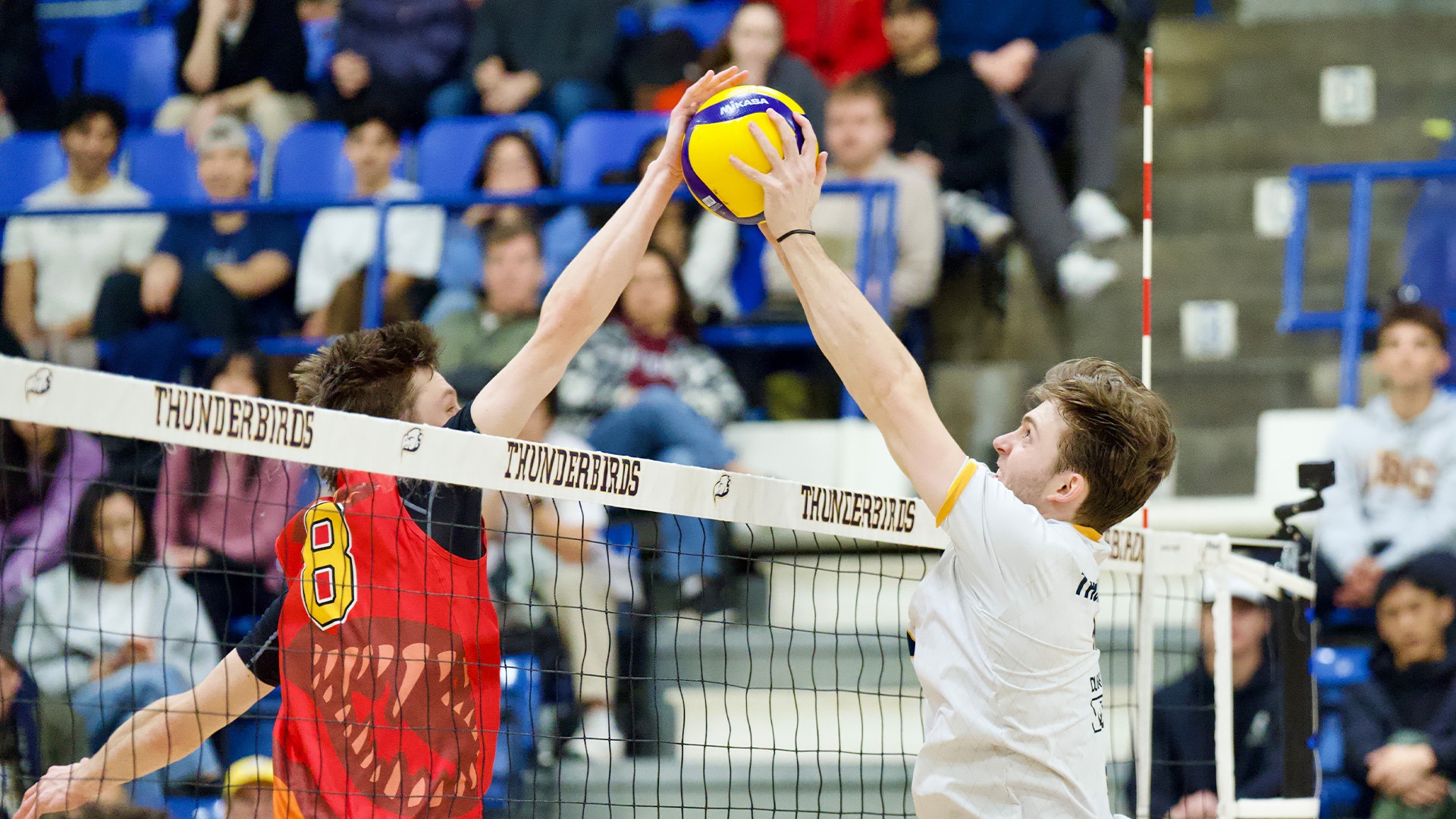 Matthew Brown, solo block, joust