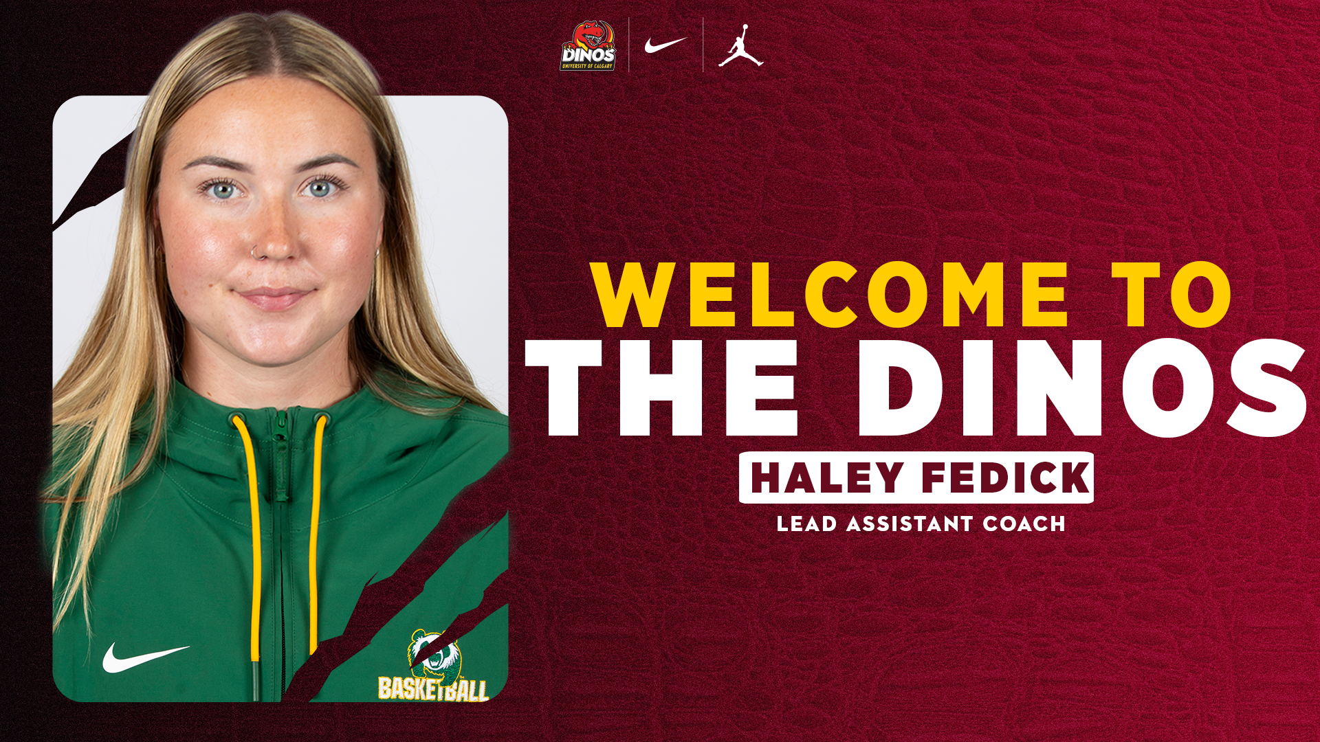 Graphic welcoming Haley Fedick to the Dinos.