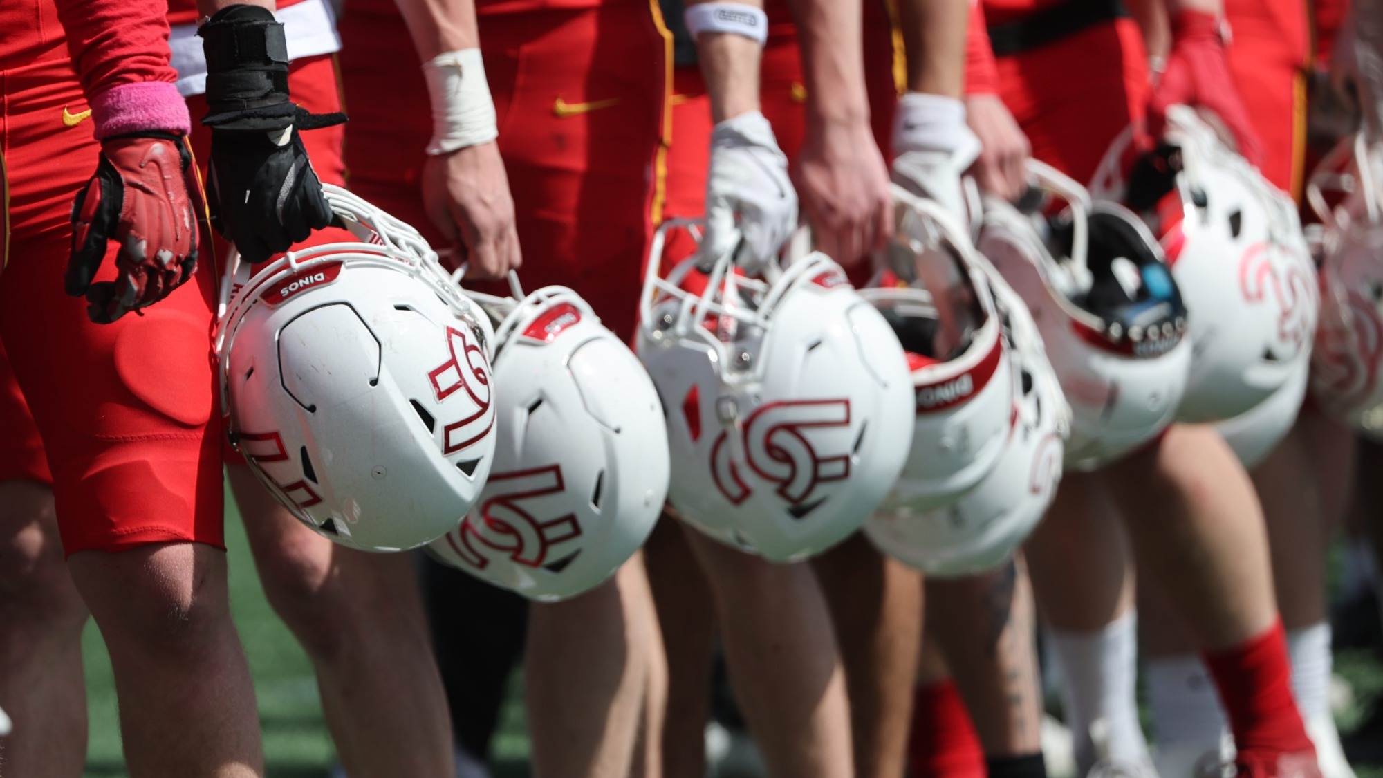 team, logo, helmets