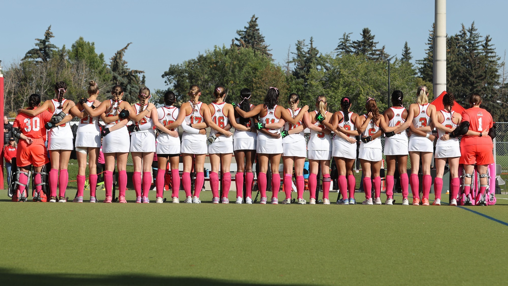 Dinos Field Hockey