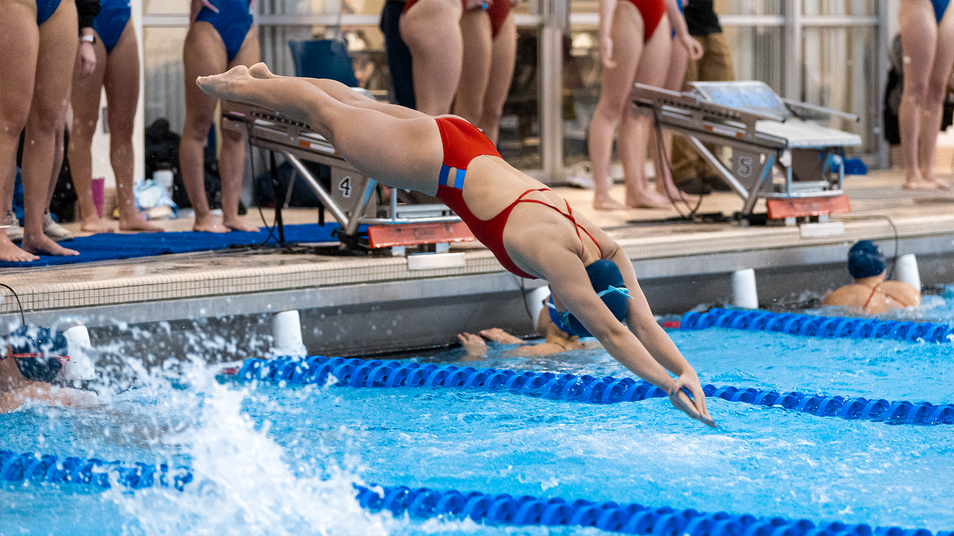 DUQ Swimming and Diving 