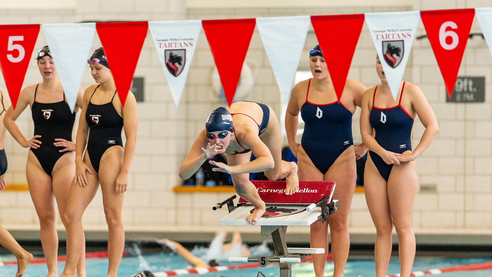 DUQ Swimming and Diving 