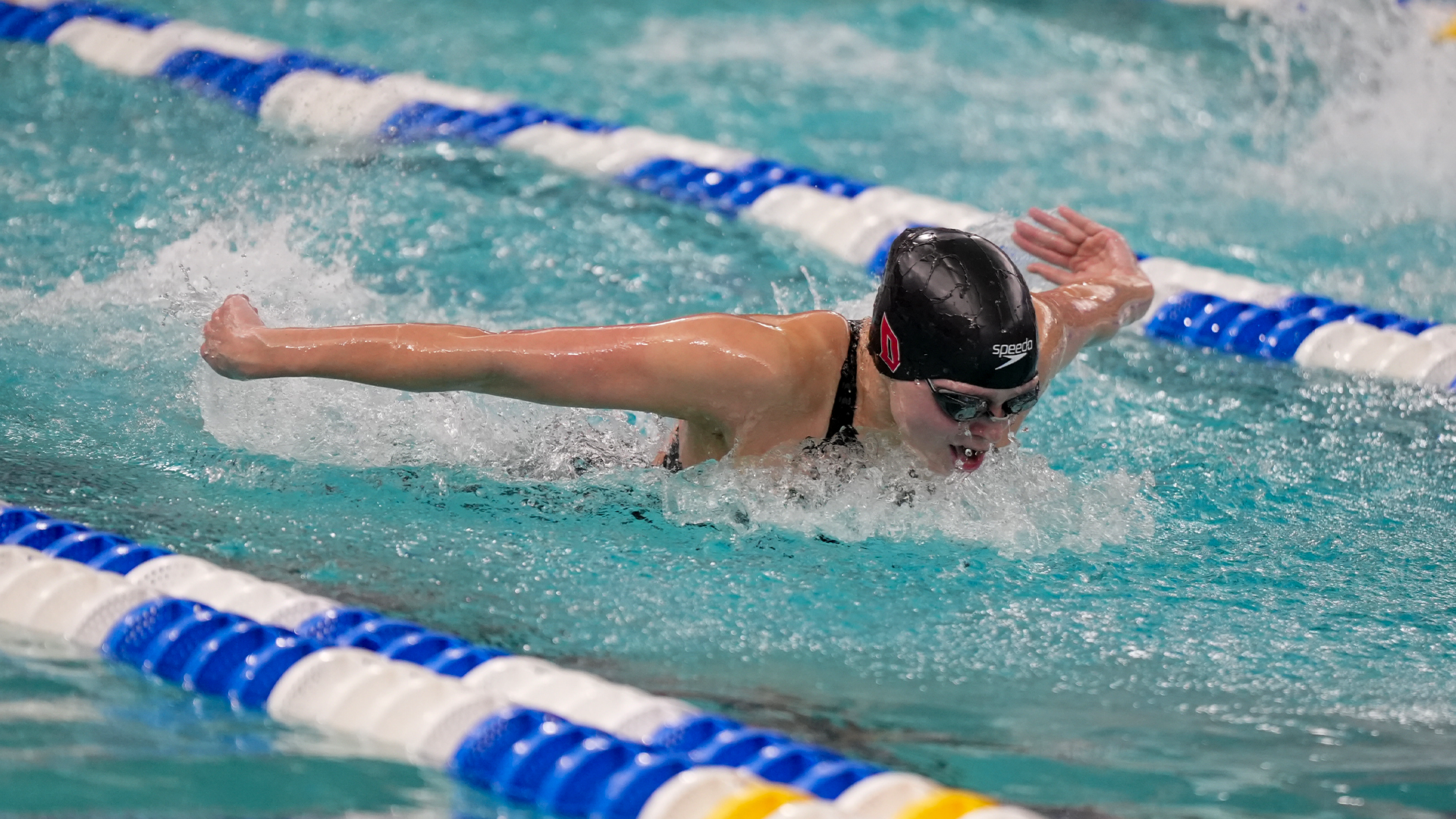 DUQ Swimming and Diving 