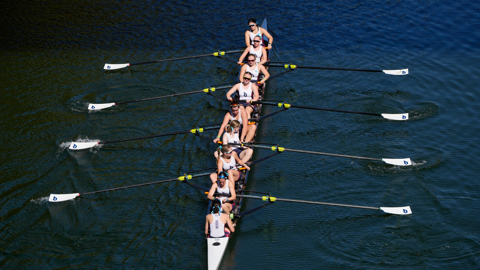 DUQ Rowing at Head of the Ohio.