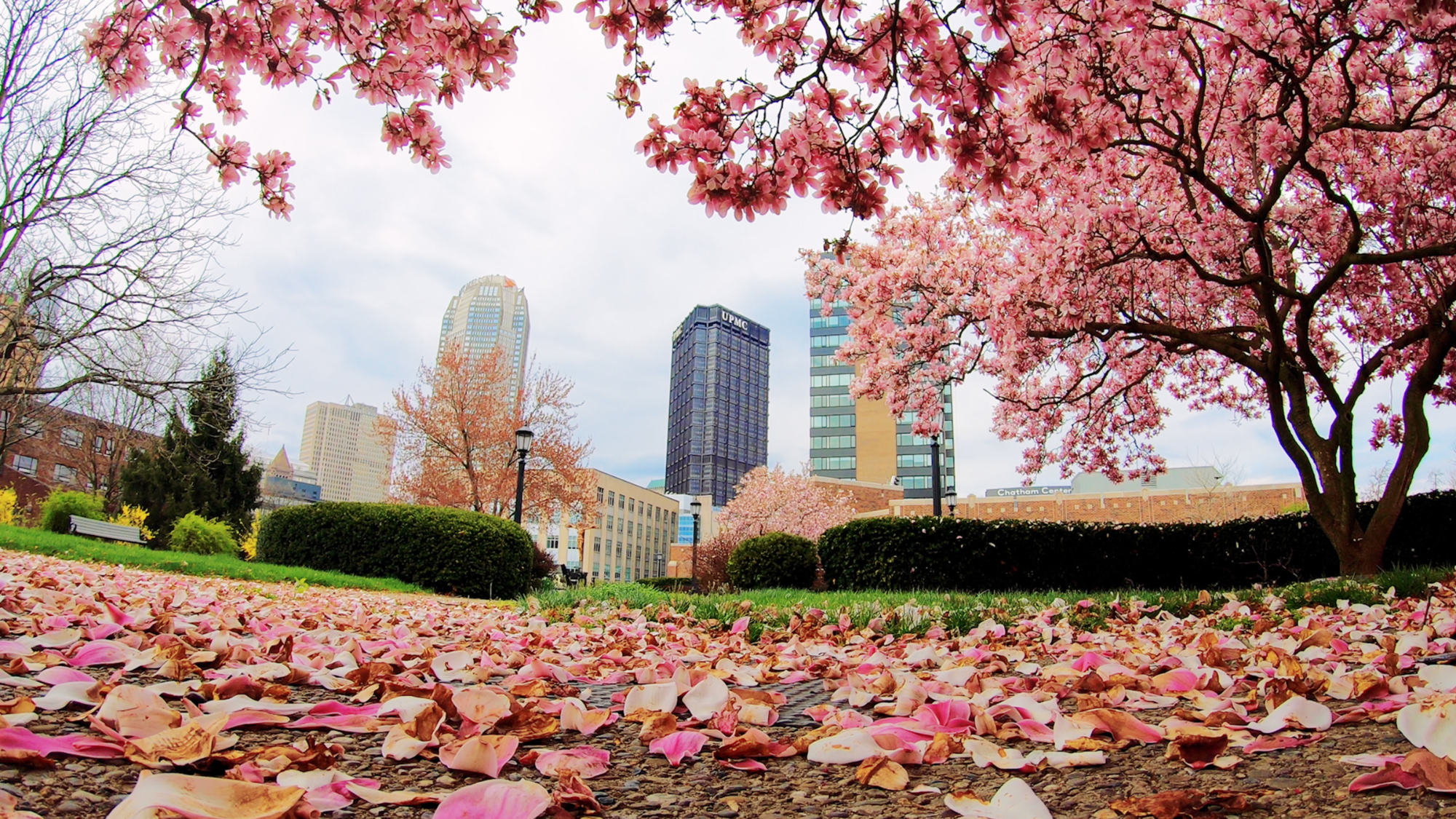 duquesne campus photo with city in background - spring time 2020
