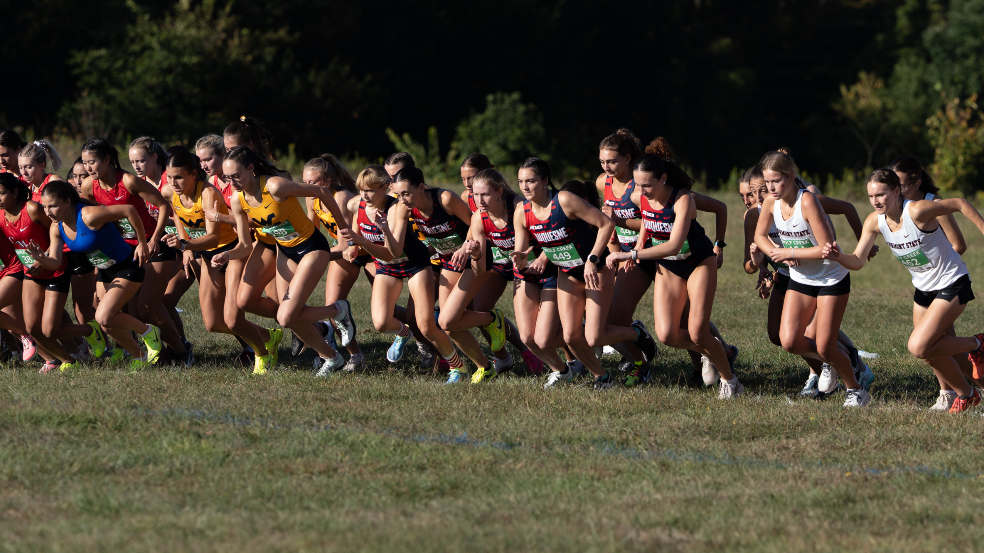 W cross country starting blocks 2025 at RMU meet