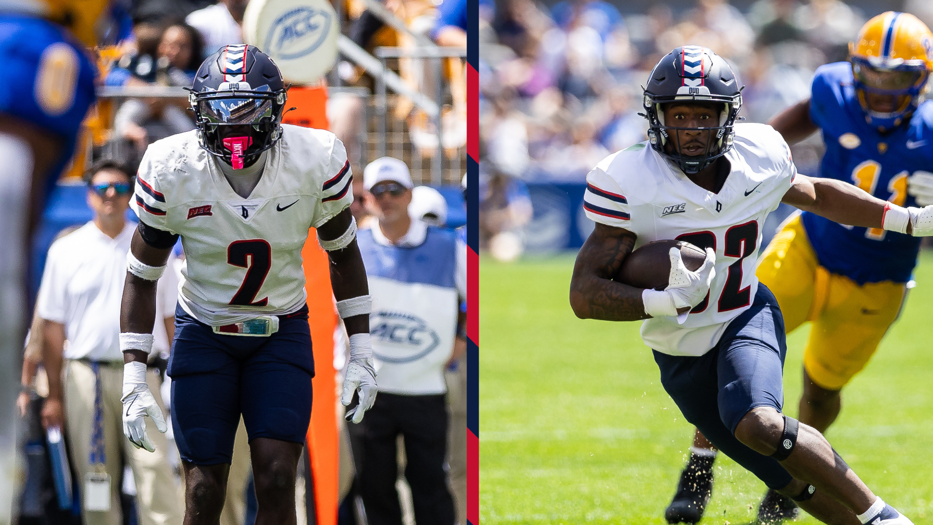 cerisier + davis side-by-side action photos