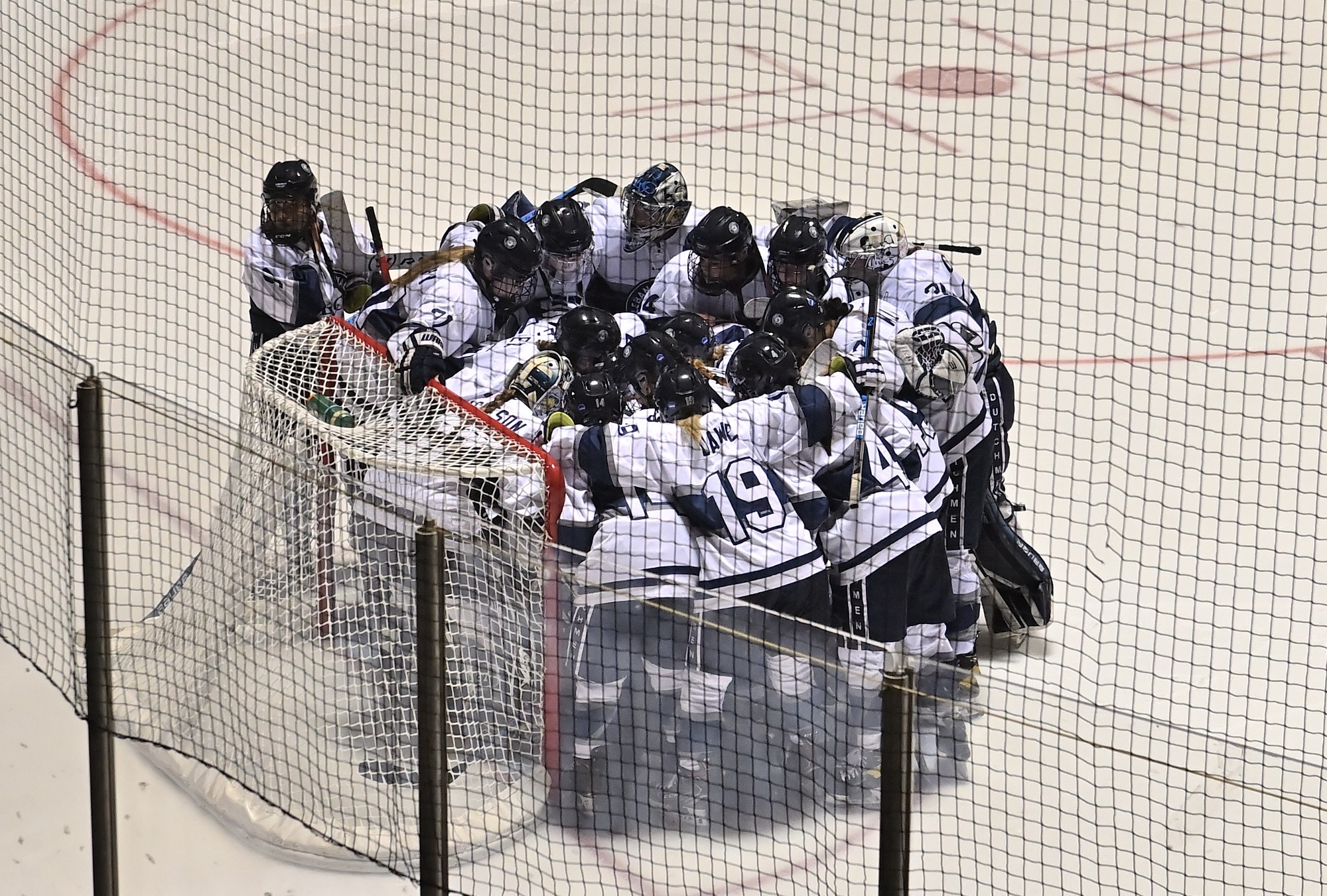Women’s Ice Hockey Downed by Valiants Lebanon Valley College Athletics
