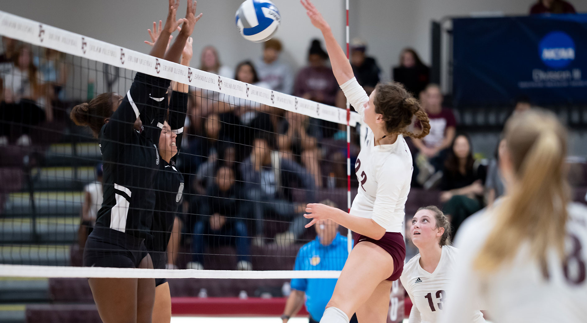 Caroline Mulvihill 2021 Women's Volleyball Earlham College