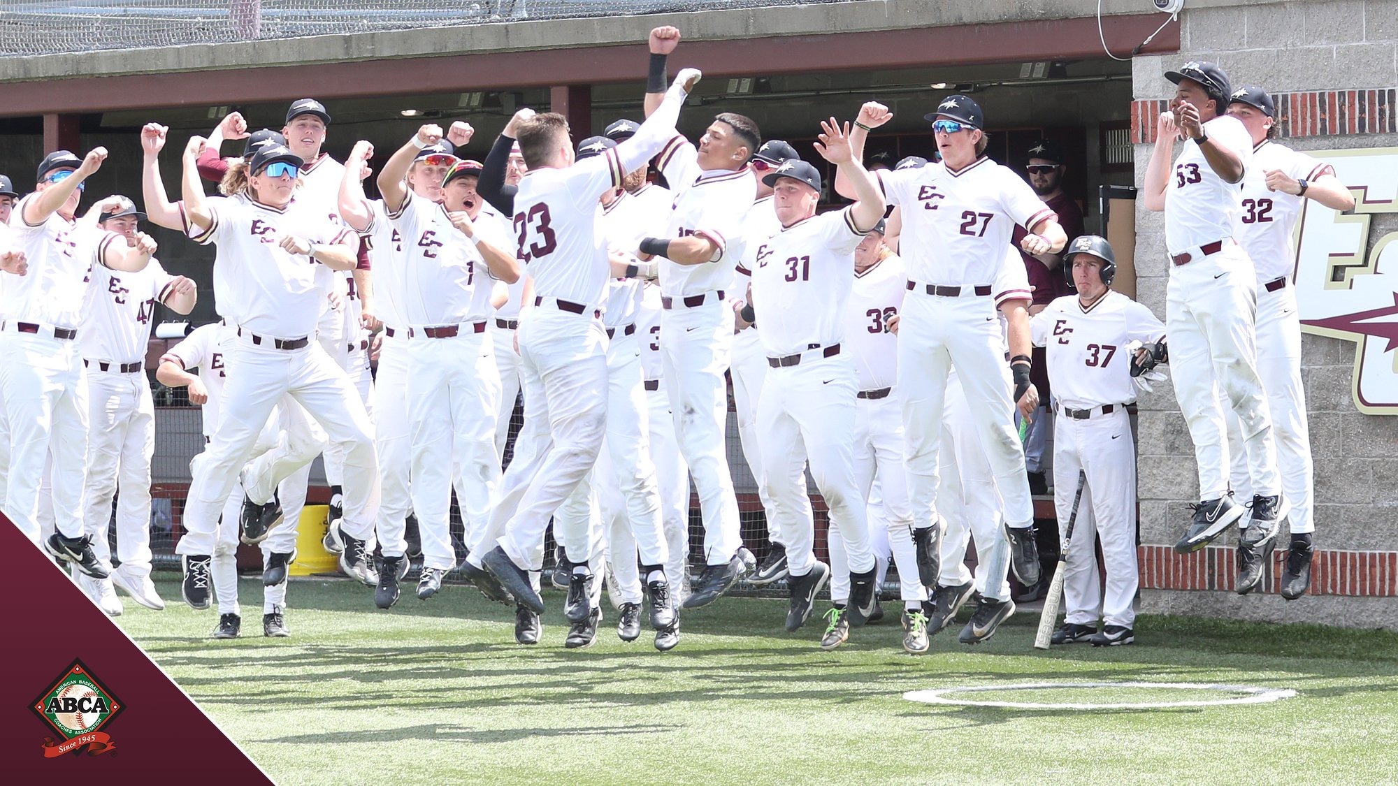 Baseball ABCA Award