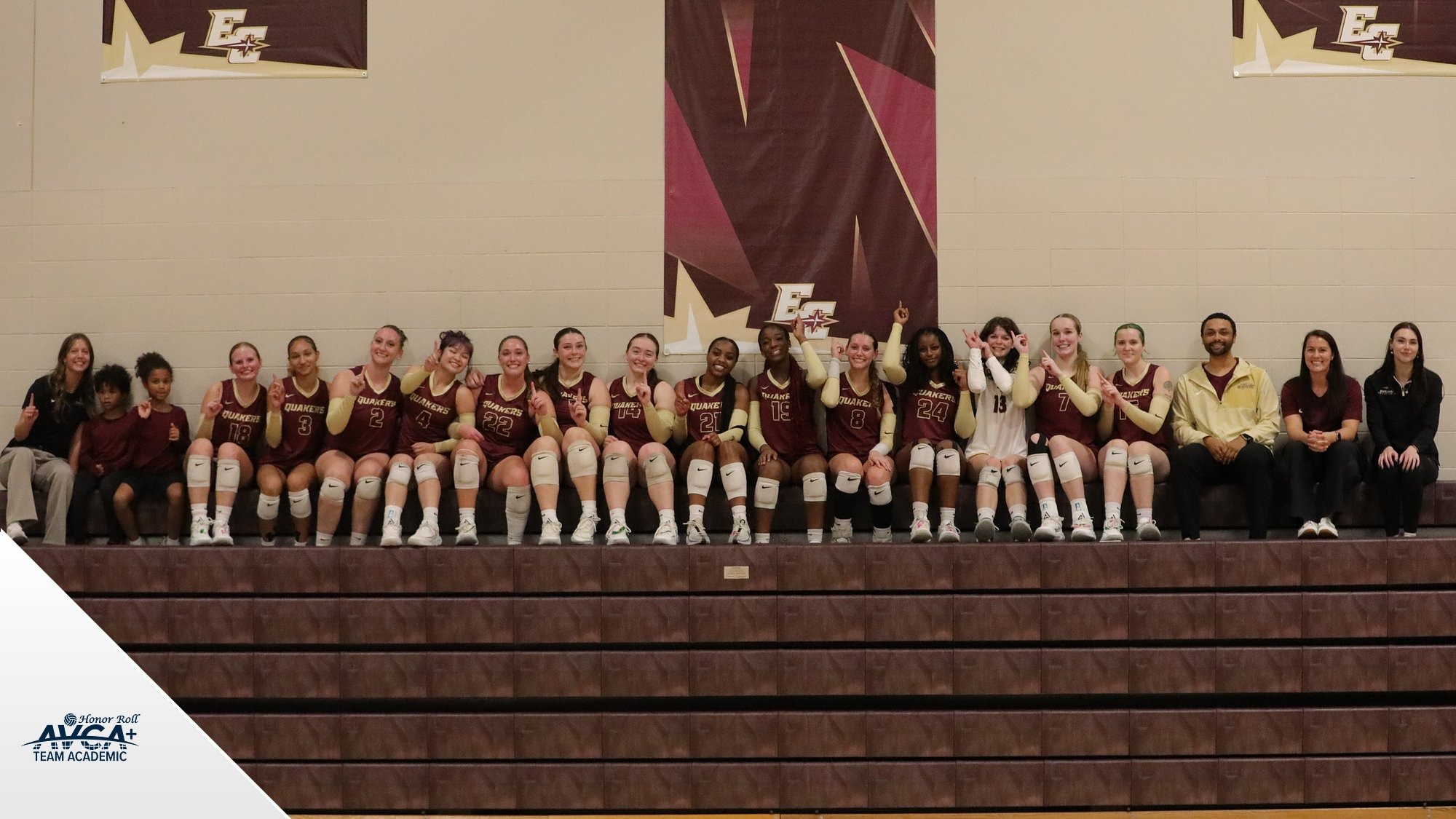 Volleyball AVCA Award