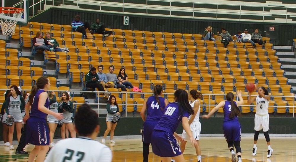 Sarina Johnson 201718 Women's Basketball Eastern New Mexico