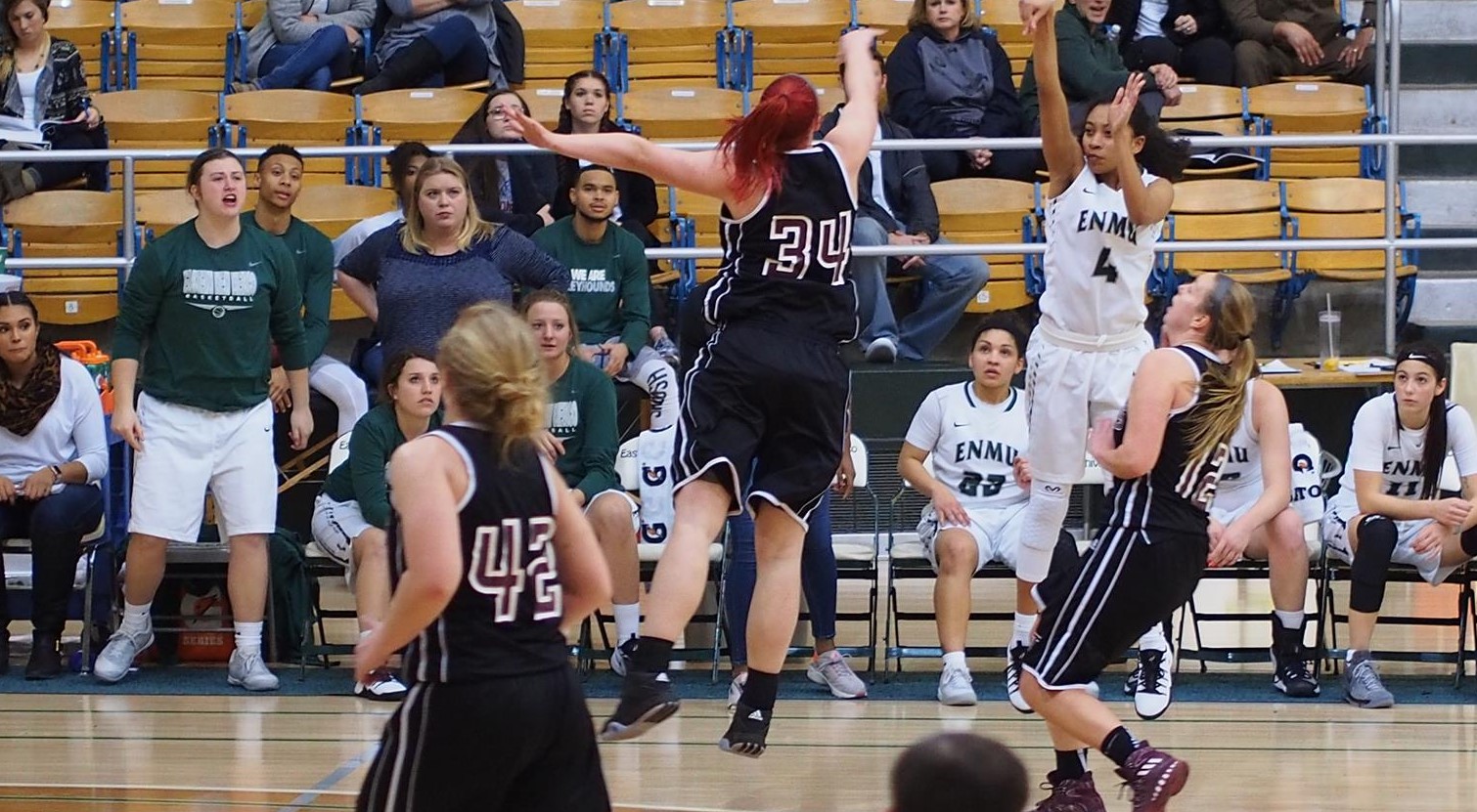 Sarina Johnson 201718 Women's Basketball Eastern New Mexico