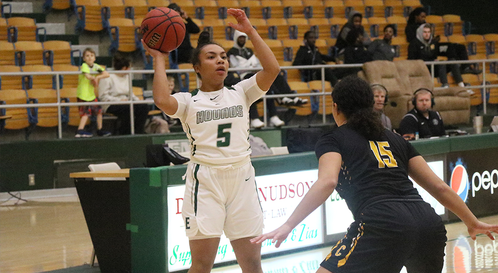 Dasia Johnson 201819 Women's Basketball Eastern New Mexico