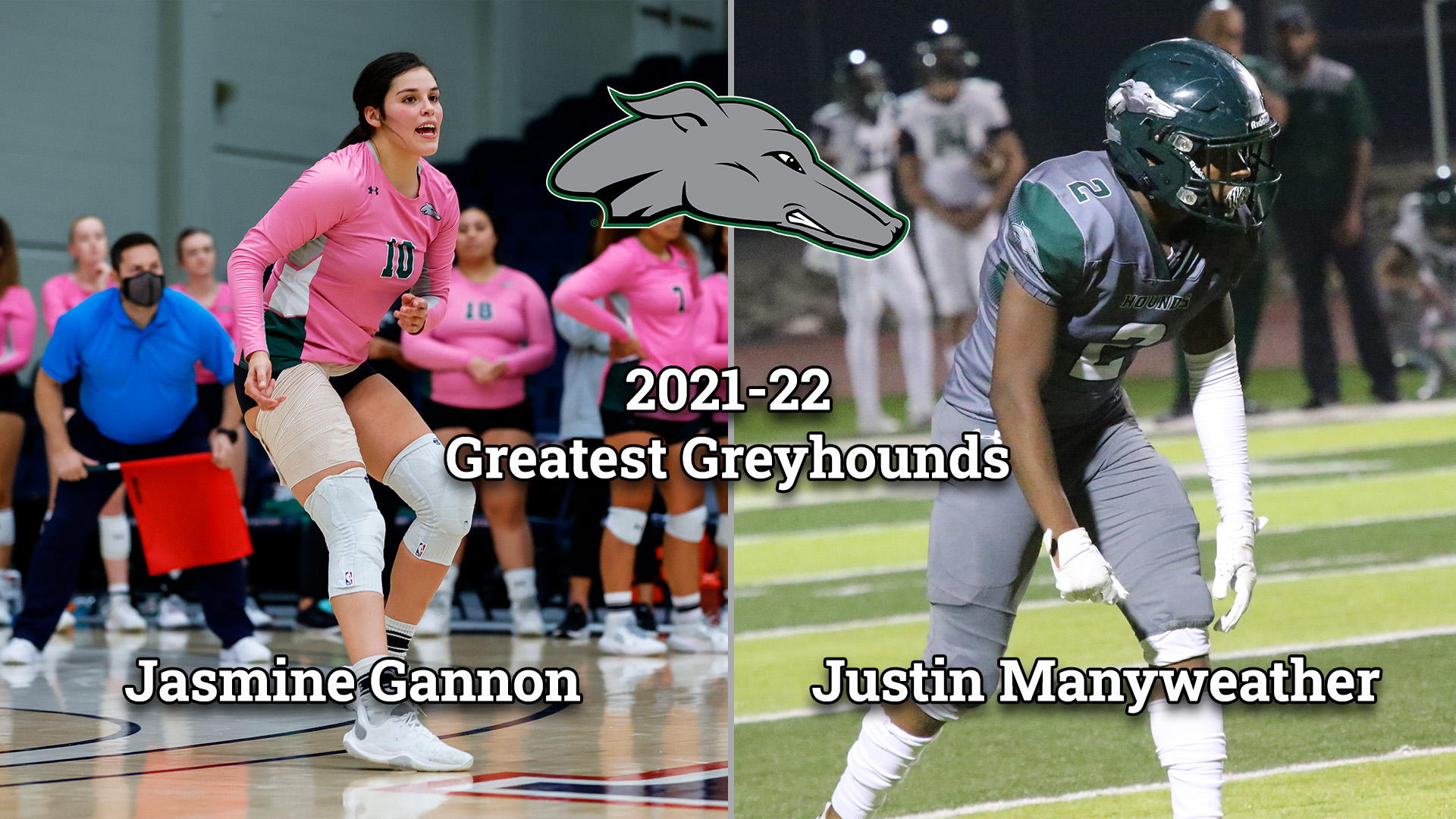 Greatest Greyhound 2021-22