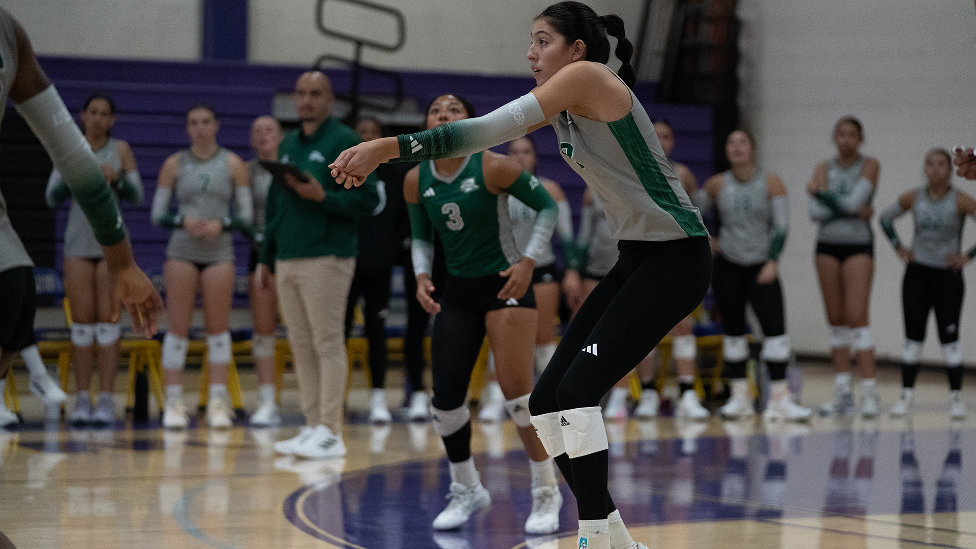 Sophia_valdez_2025_all_lsc