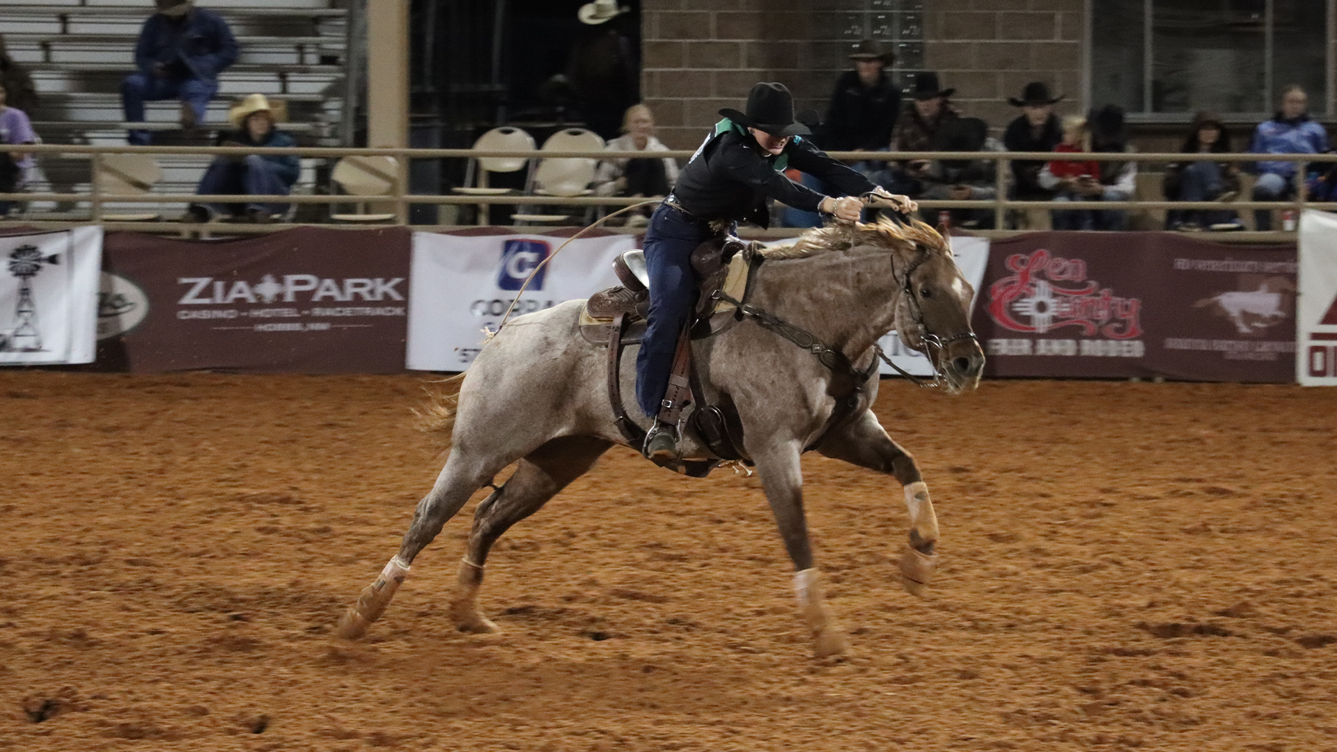 Terry_Ali_2025_10_23_Lovington_NMJC_ENMU_Greyhounds_Rodeo_Cropped