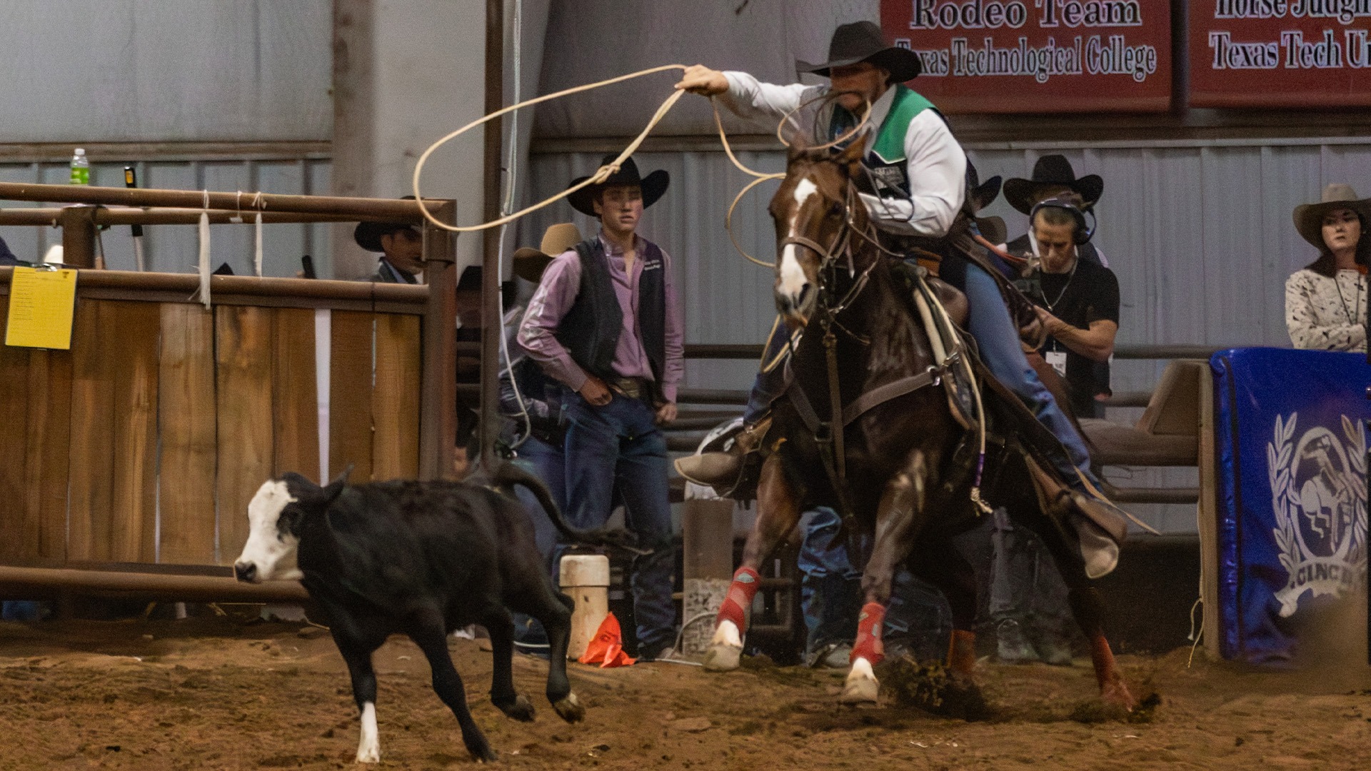 Pareo_Cutter_10_30_2026_Cropped_TD