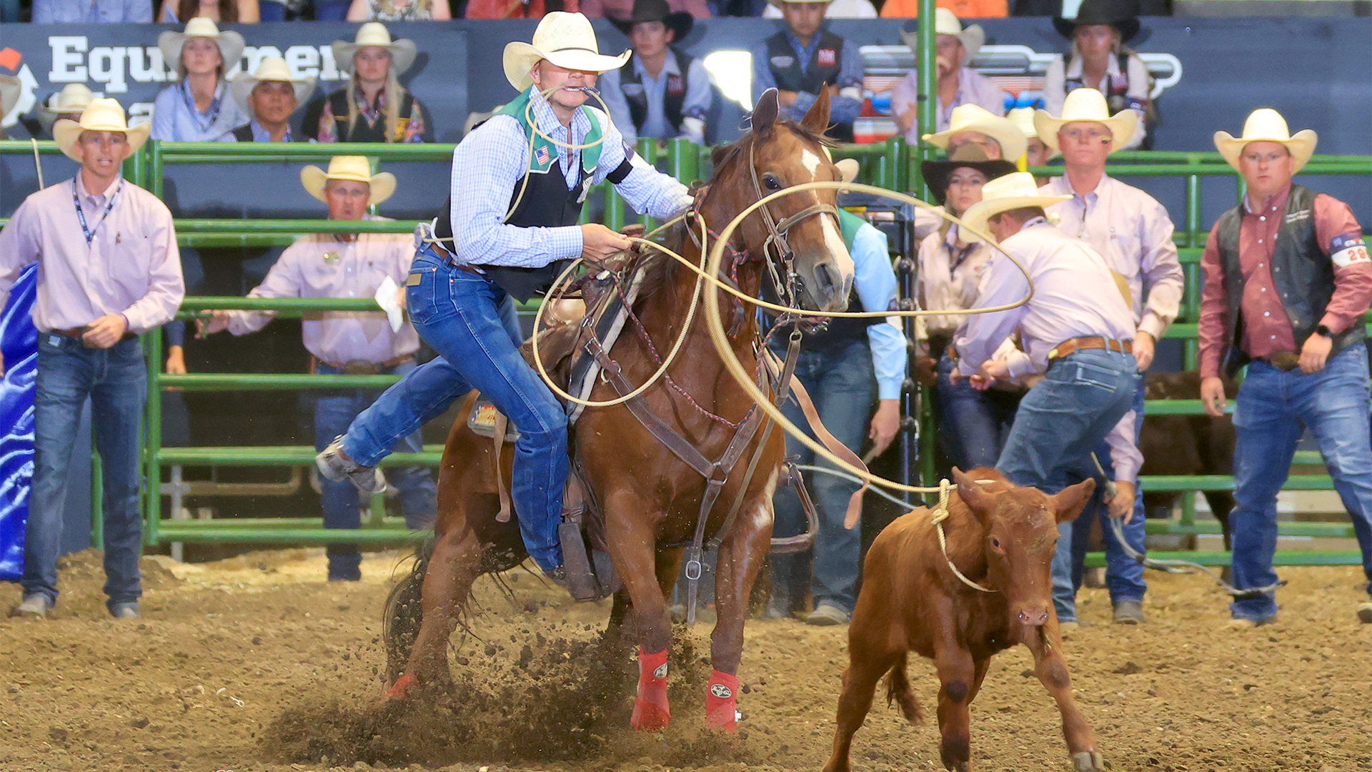 Pareo_2026_CNFR_tie_down