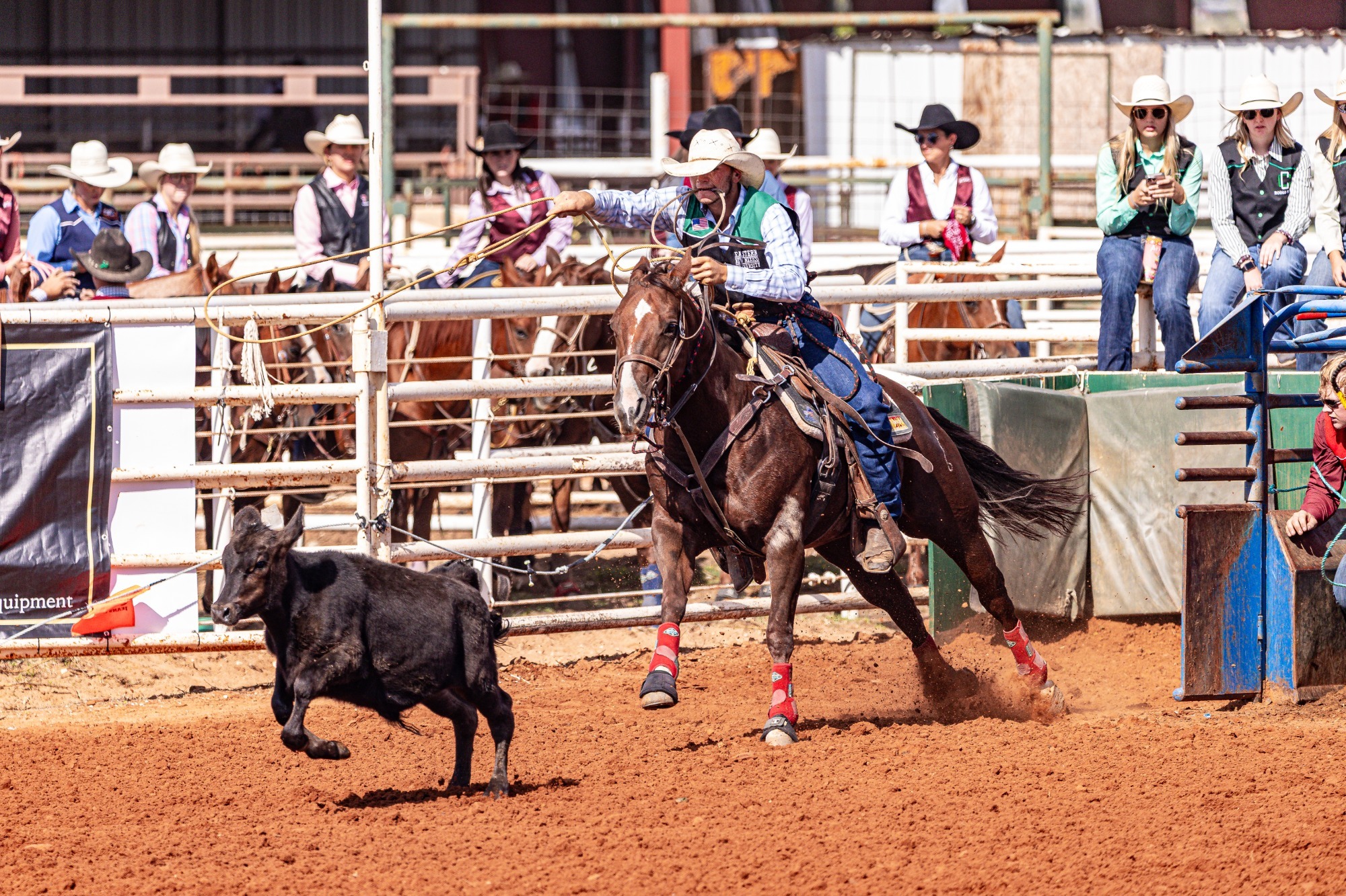 Cutter Pareo 2025 College Daze Rodeo