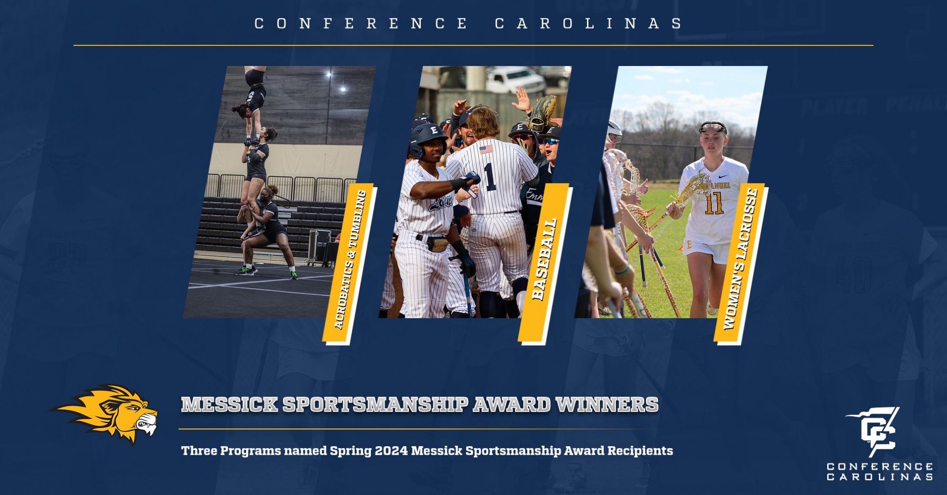 messick award 