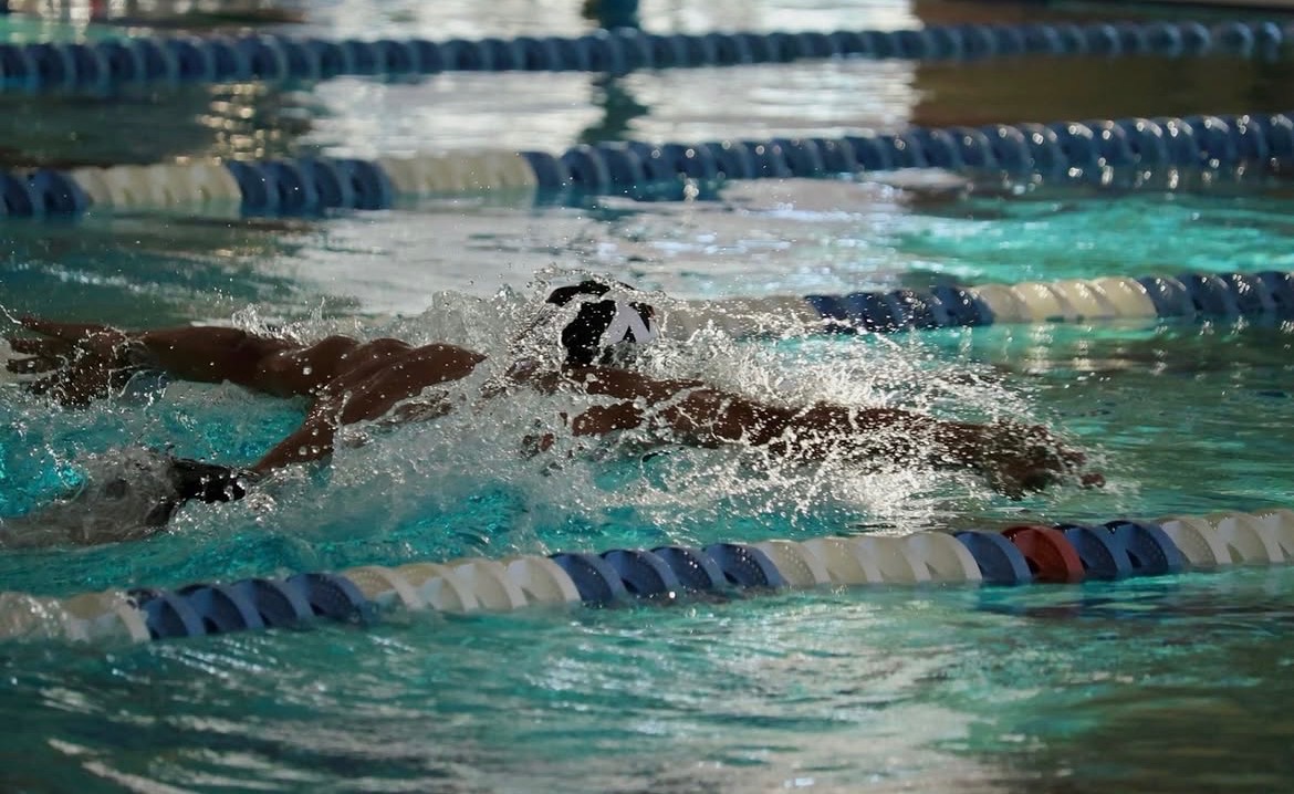 swimmer