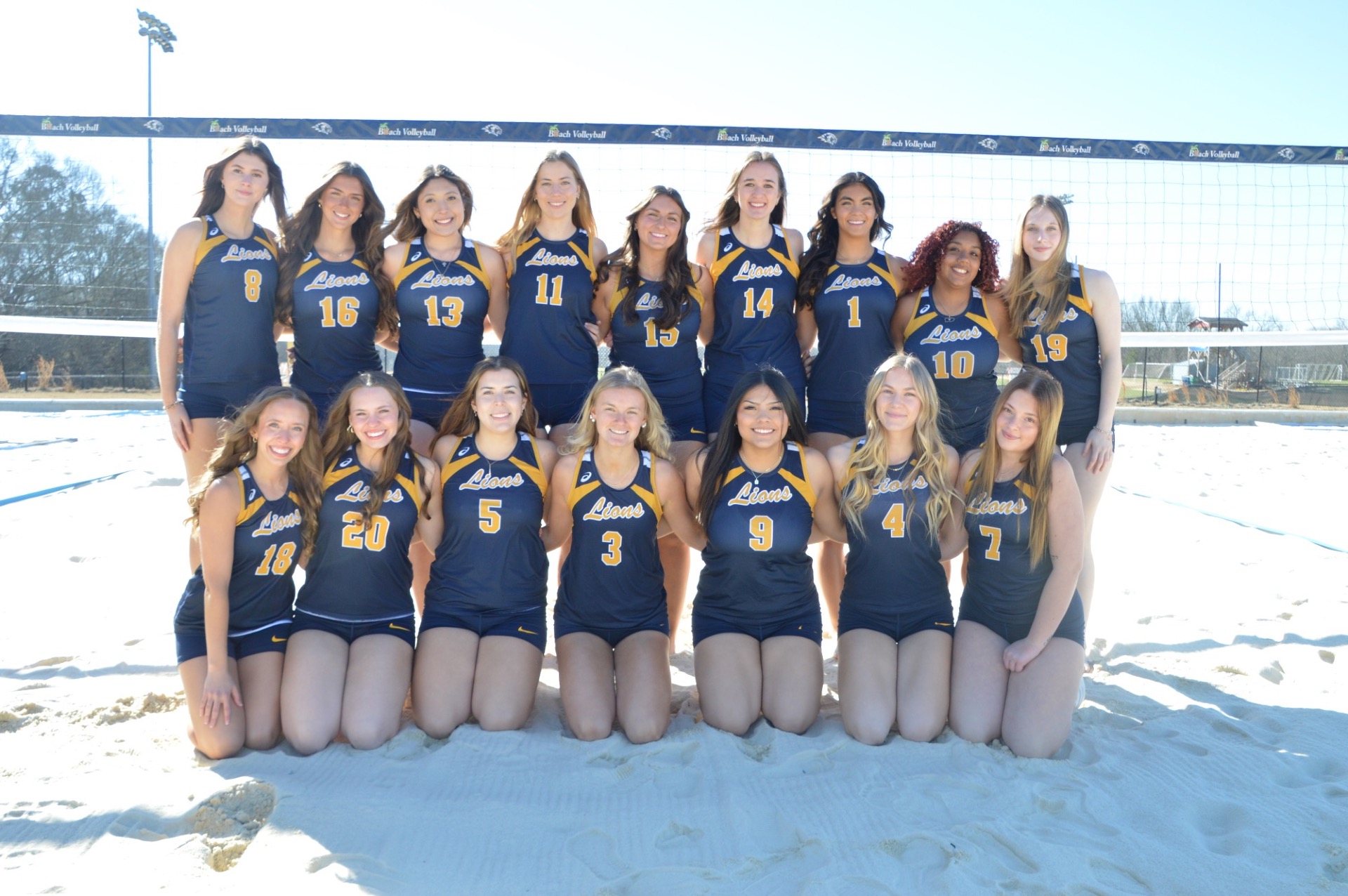 AVCA Academic