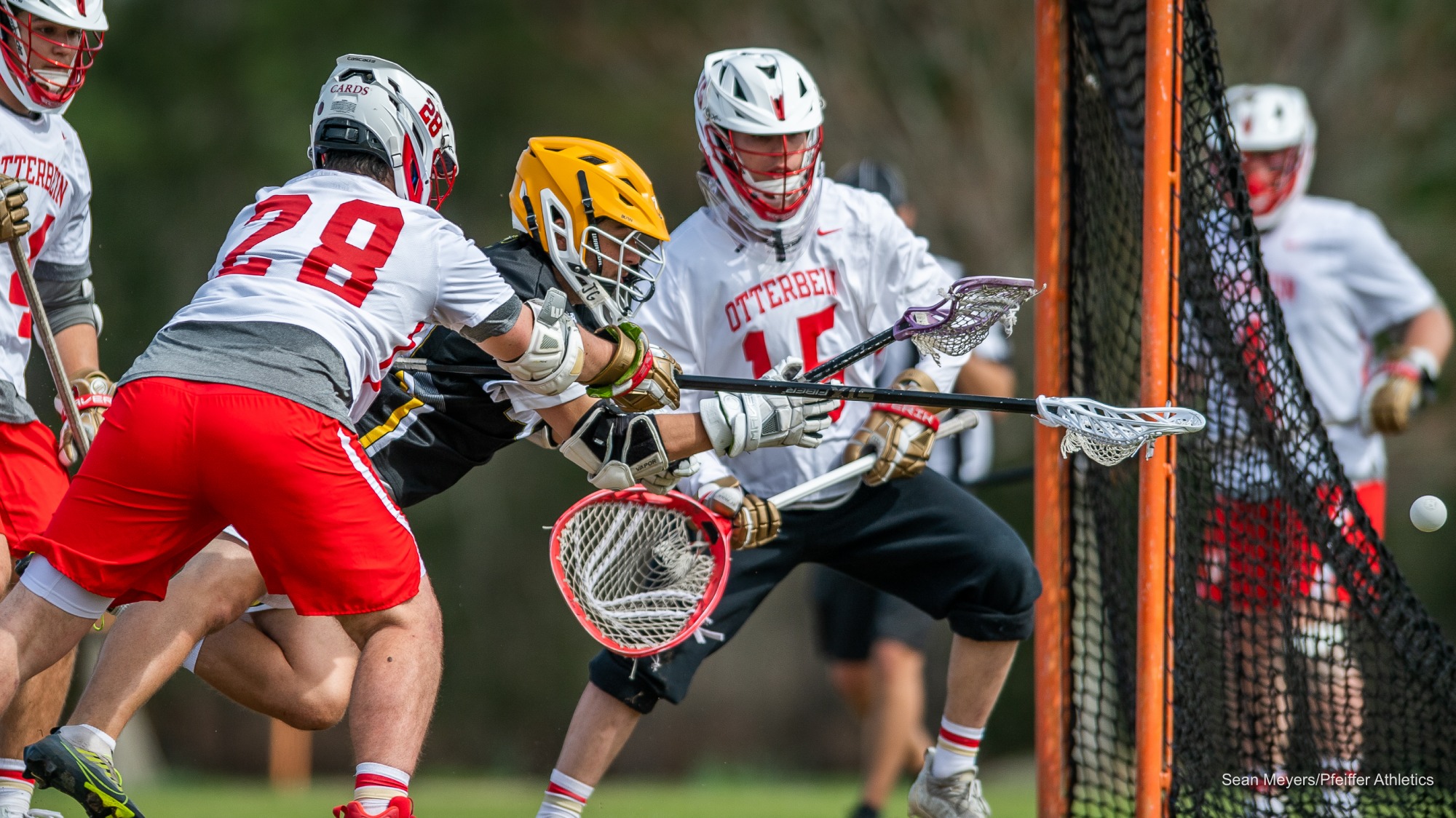 Pfeiffer Men's Lacrosse Rolls Past Virginia Wesleyan, 229 Pfeiffer