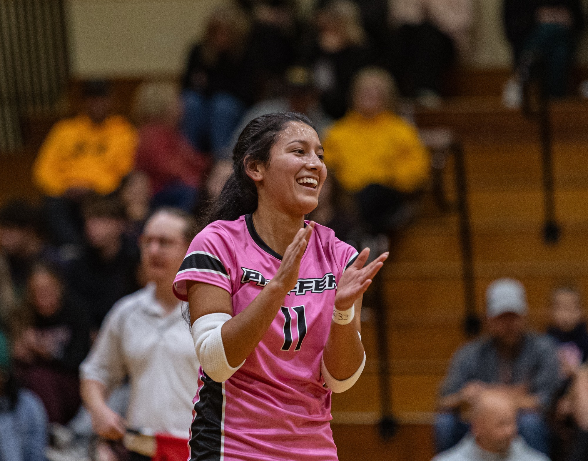 Elisa Landaverde vs. Brevard