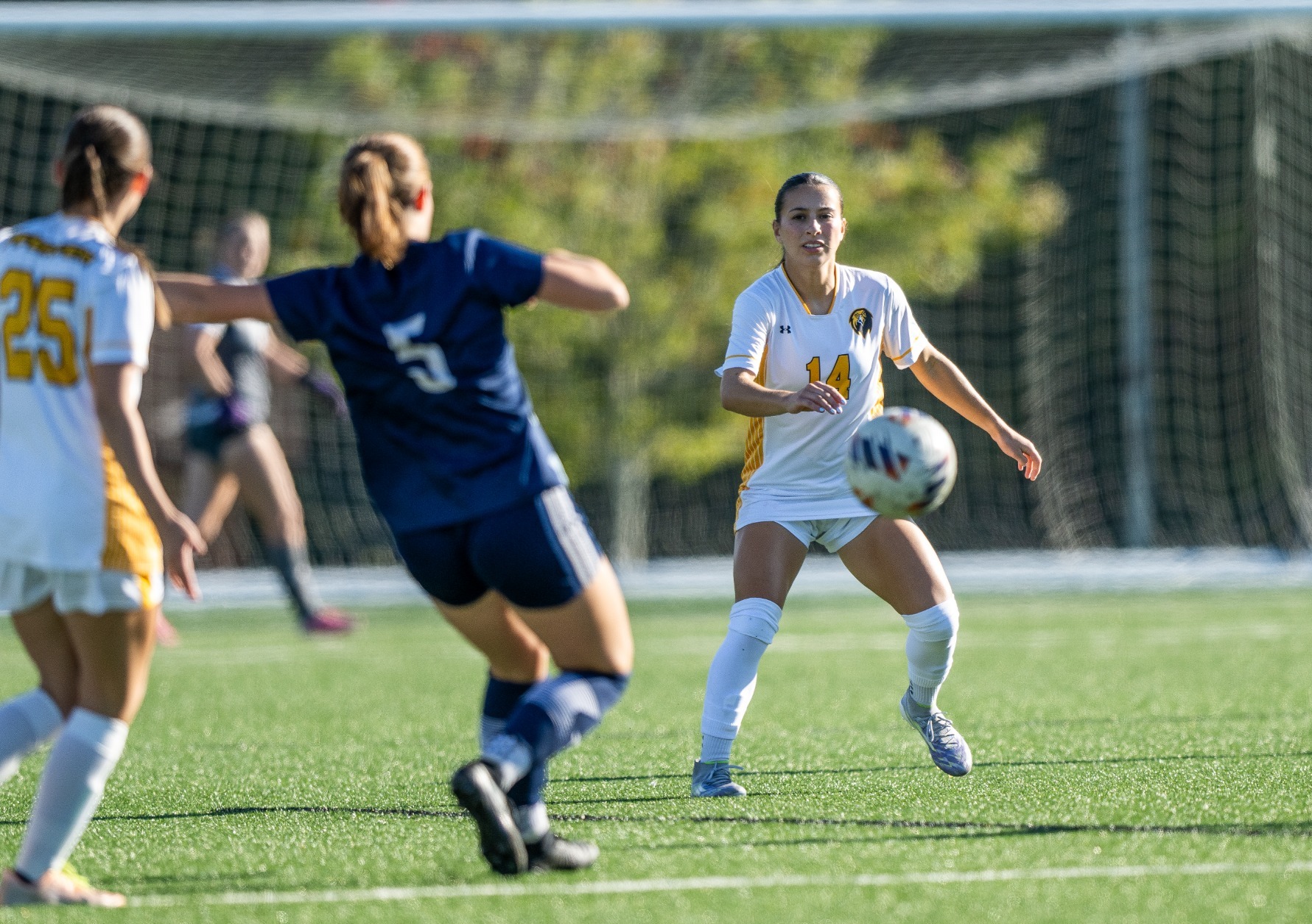 Quinn Branca vs. Bob Jones