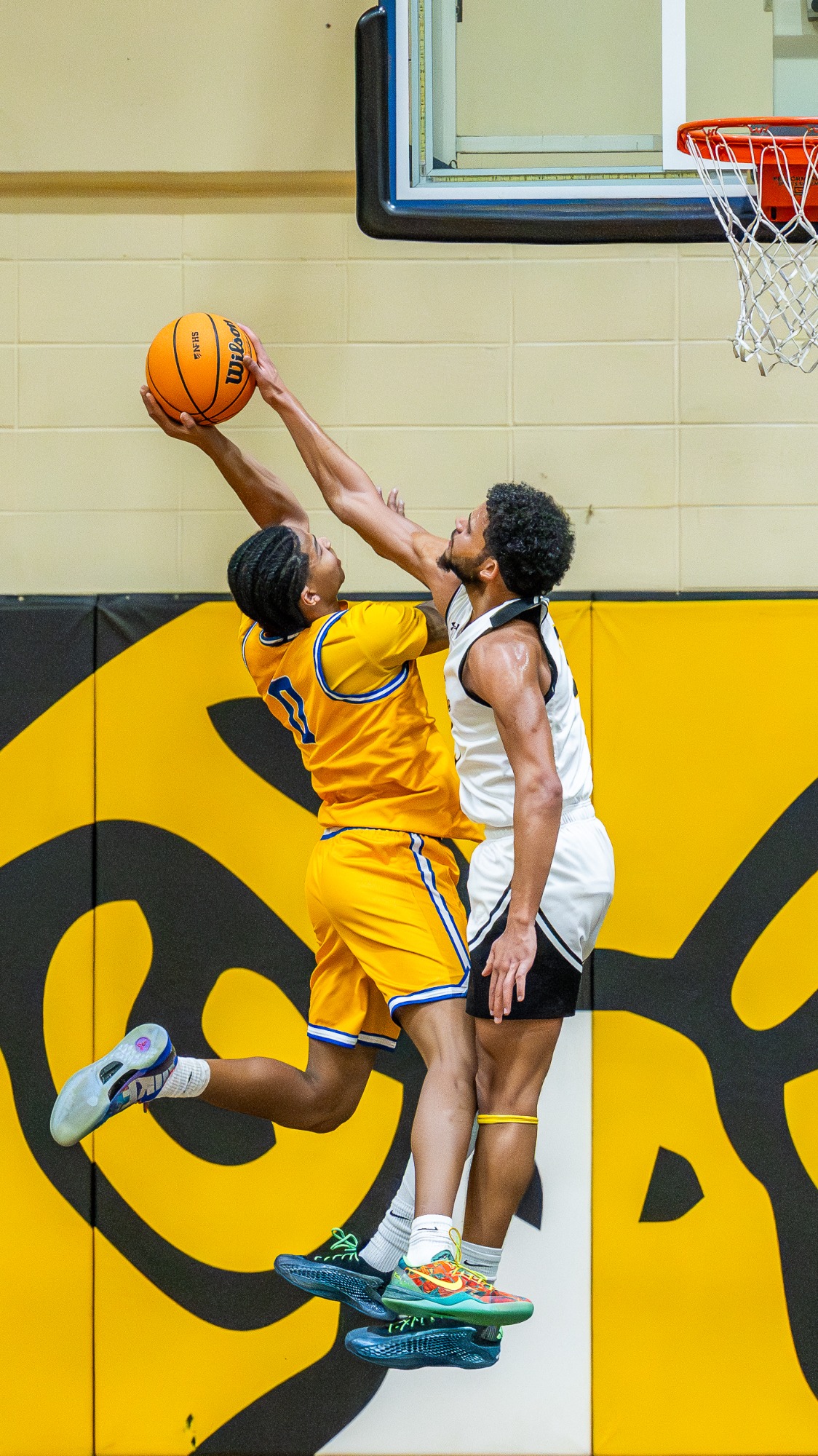 Unauthorized use of any image from this photo gallery, subsequent galleries and any related website of Sean Meyers and/or Sean Meyers Photography is not permitted and is a violation of International copyright laws. For information or to license any image, please contact Sean Meyers at Sean@SeanMeyersPhotography.comPHOTOS ARE NOT TO BE SHARED WITH STUDENT-ATHLETES