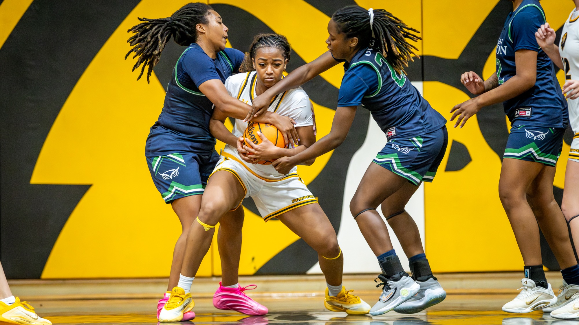 Unauthorized use of any image from this photo gallery, subsequent galleries and any related website of Sean Meyers and/or Sean Meyers Photography is not permitted and is a violation of International copyright laws. For information or to license any image, please contact Sean Meyers at Sean@SeanMeyersPhotography.comPHOTOS ARE NOT TO BE SHARED WITH STUDENT-ATHLETES